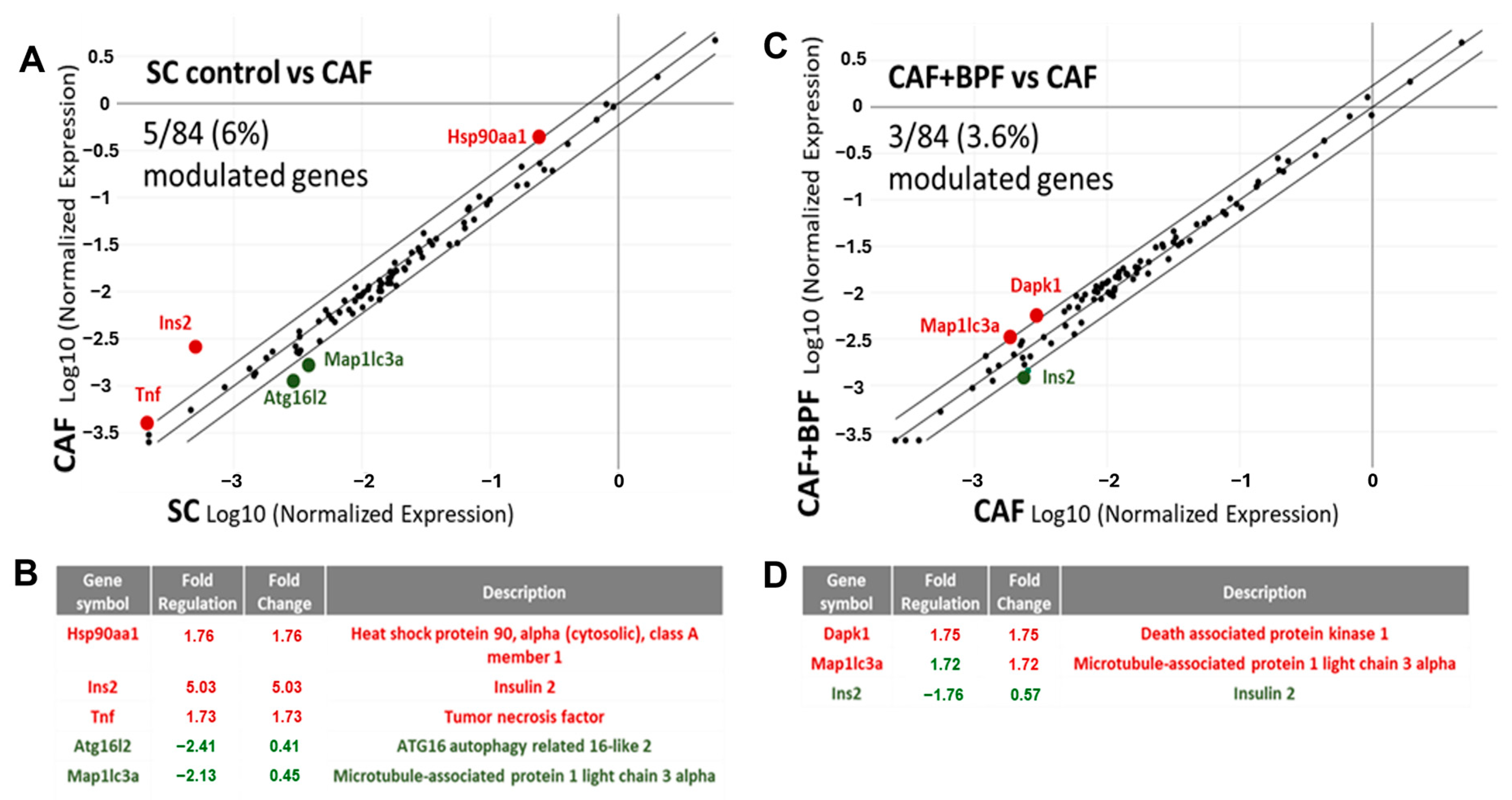 Antioxidants 13 00766 g005