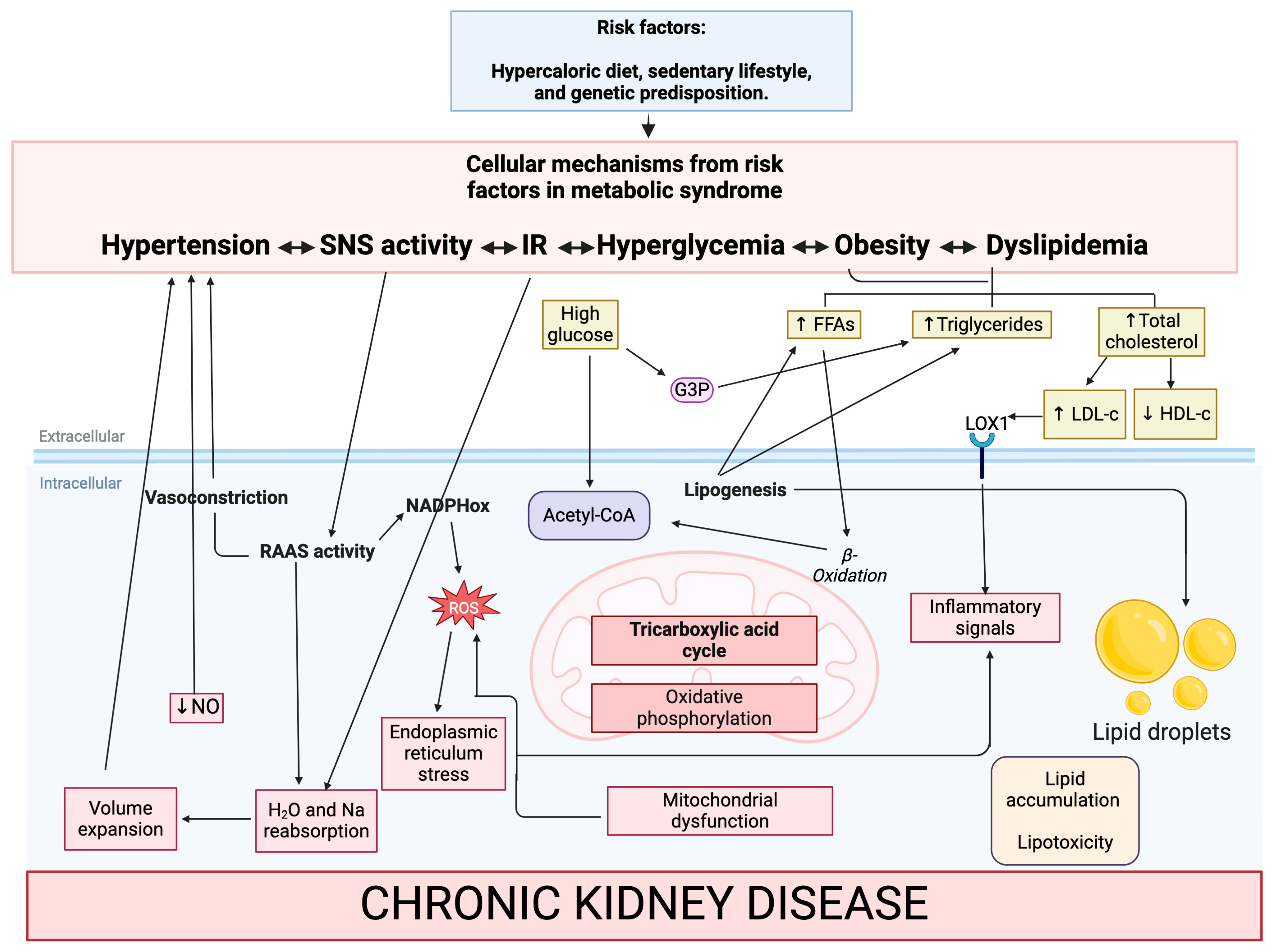 Antioxidants 13 00768 g001