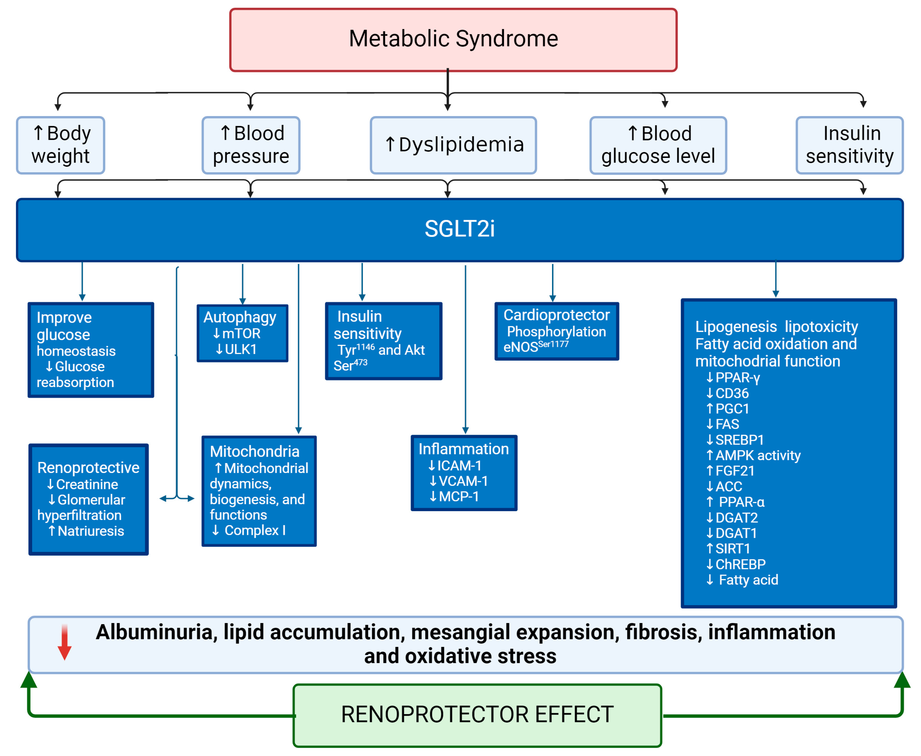 Antioxidants 13 00768 g004