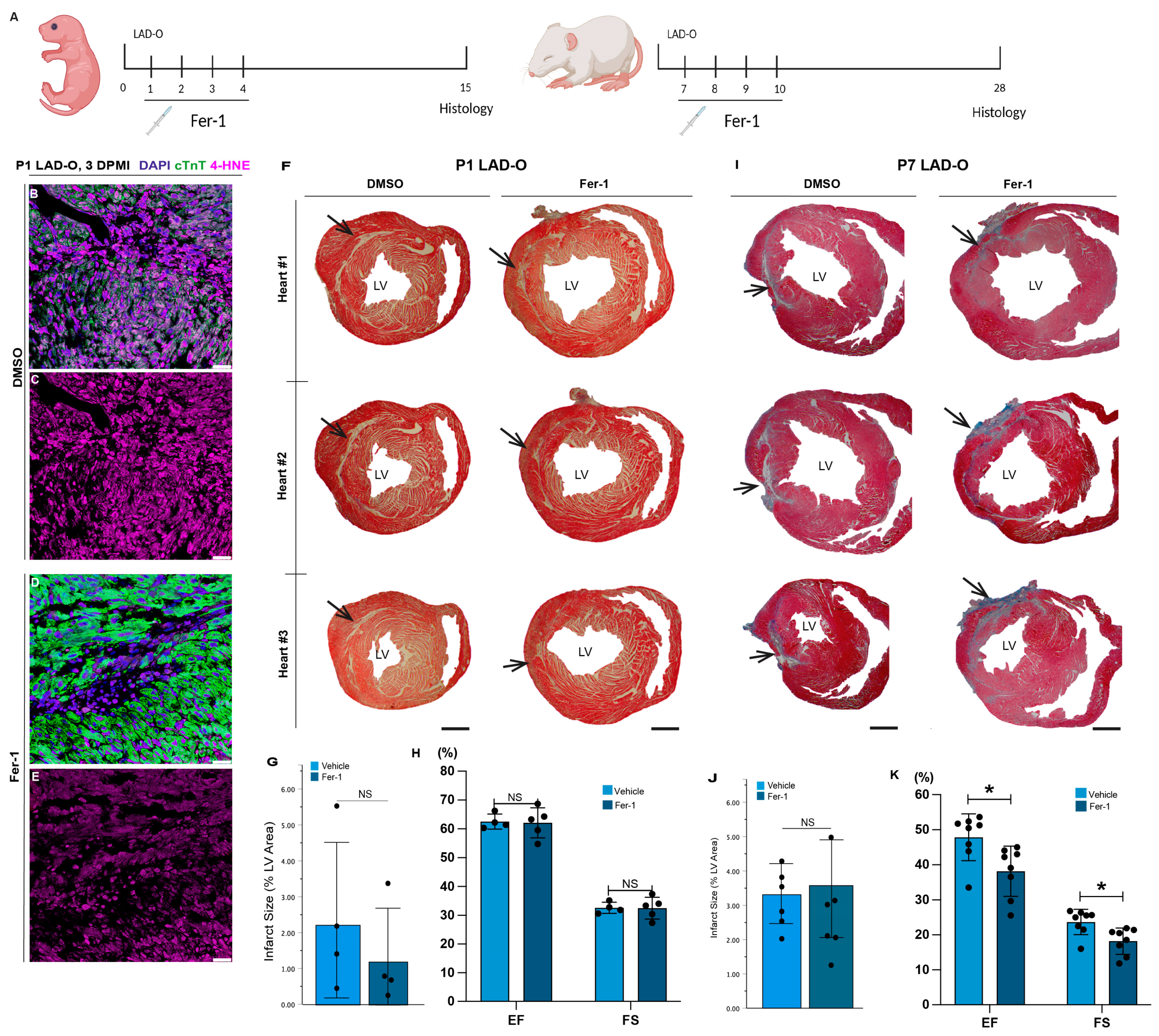 Antioxidants 13 00769 g001