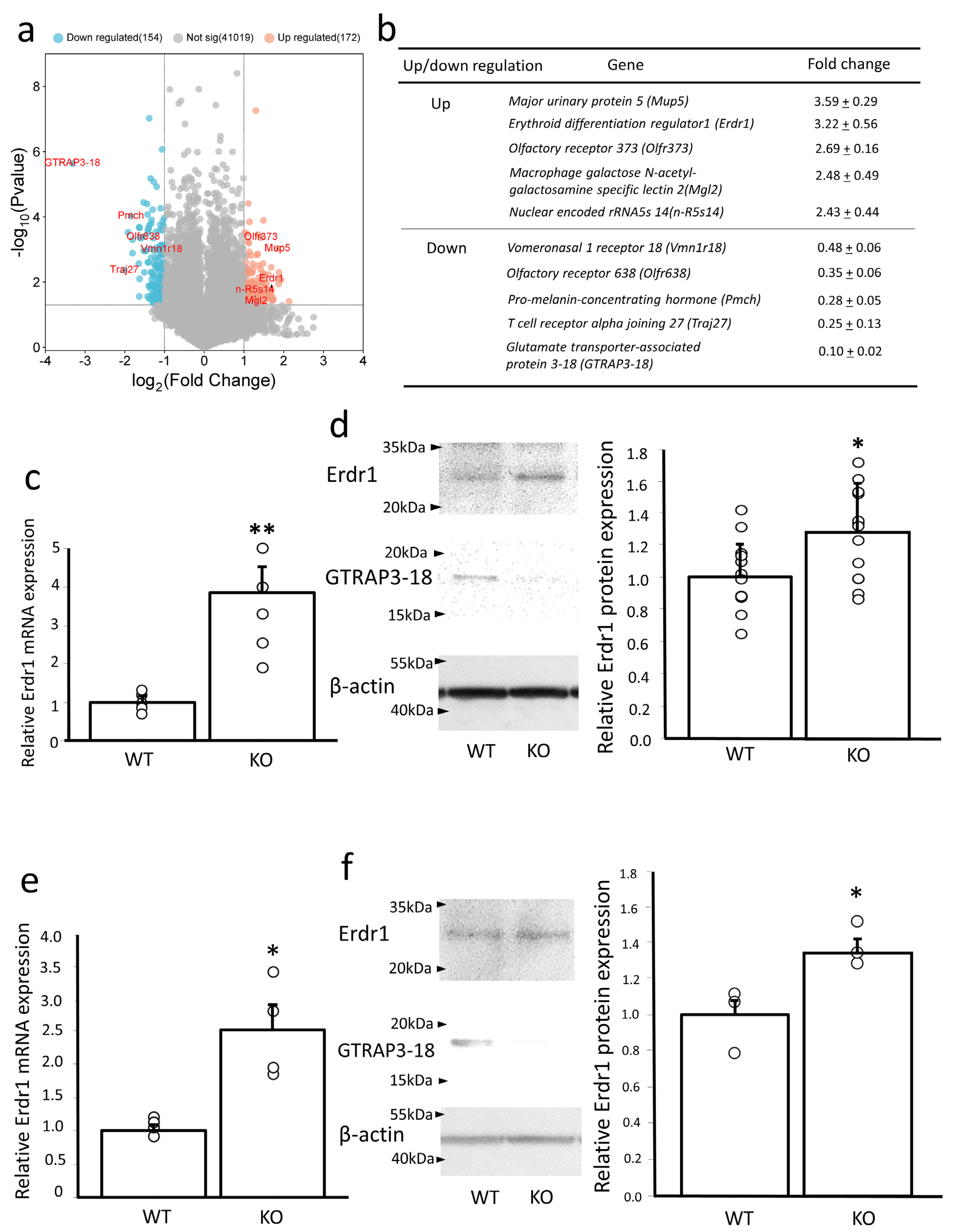 Antioxidants 13 00771 g001