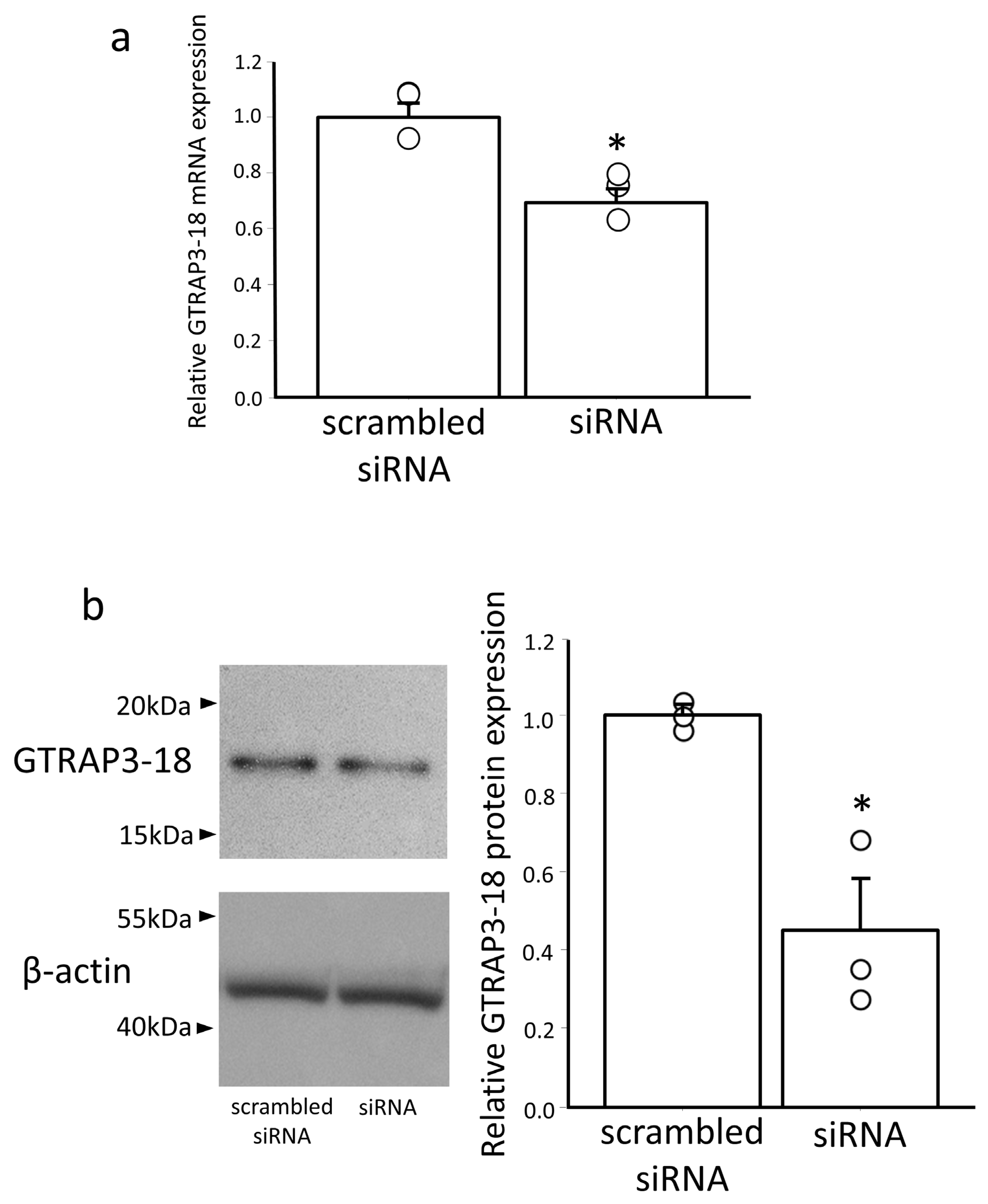 Antioxidants 13 00771 g003