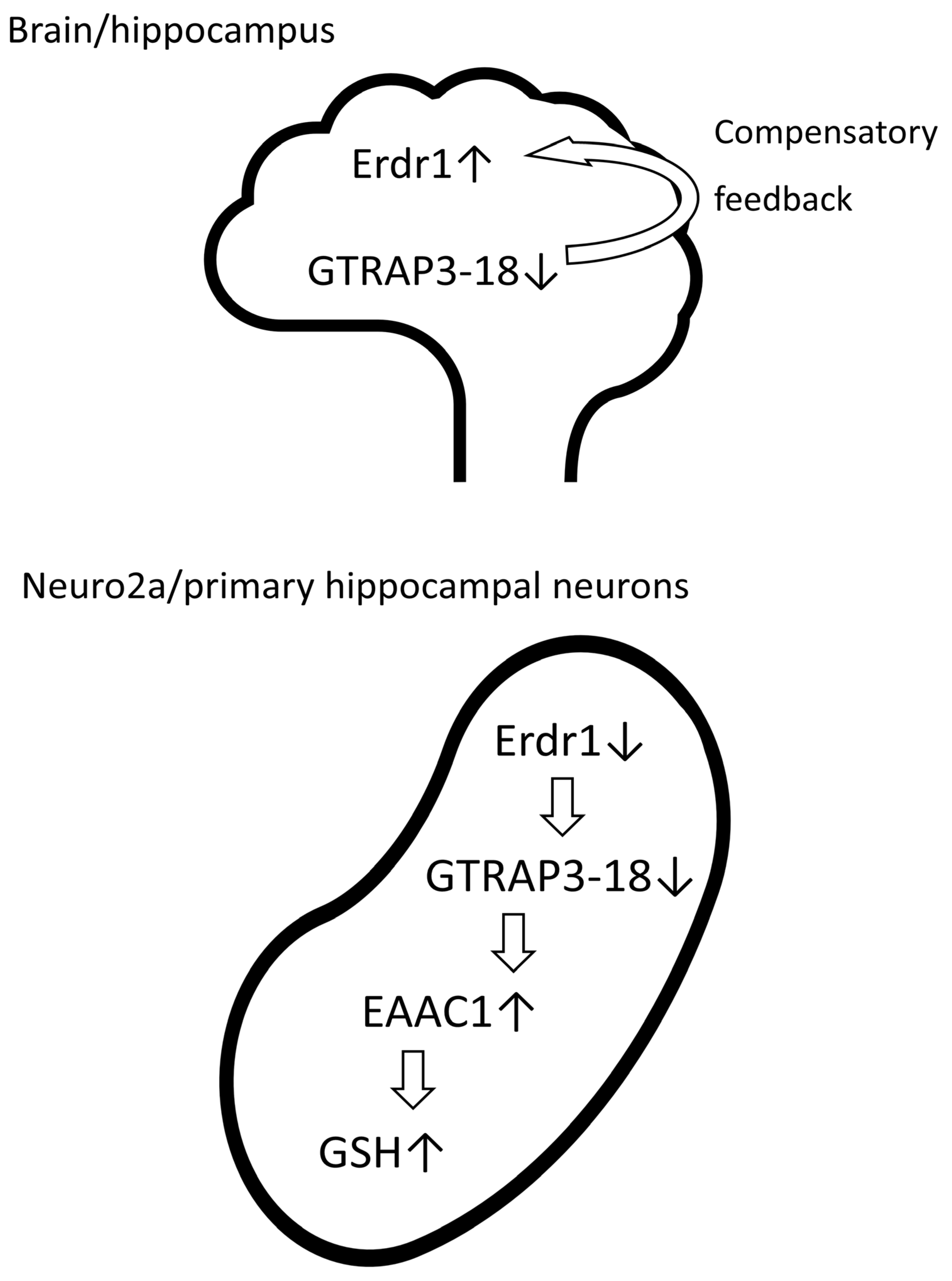 Antioxidants 13 00771 g008