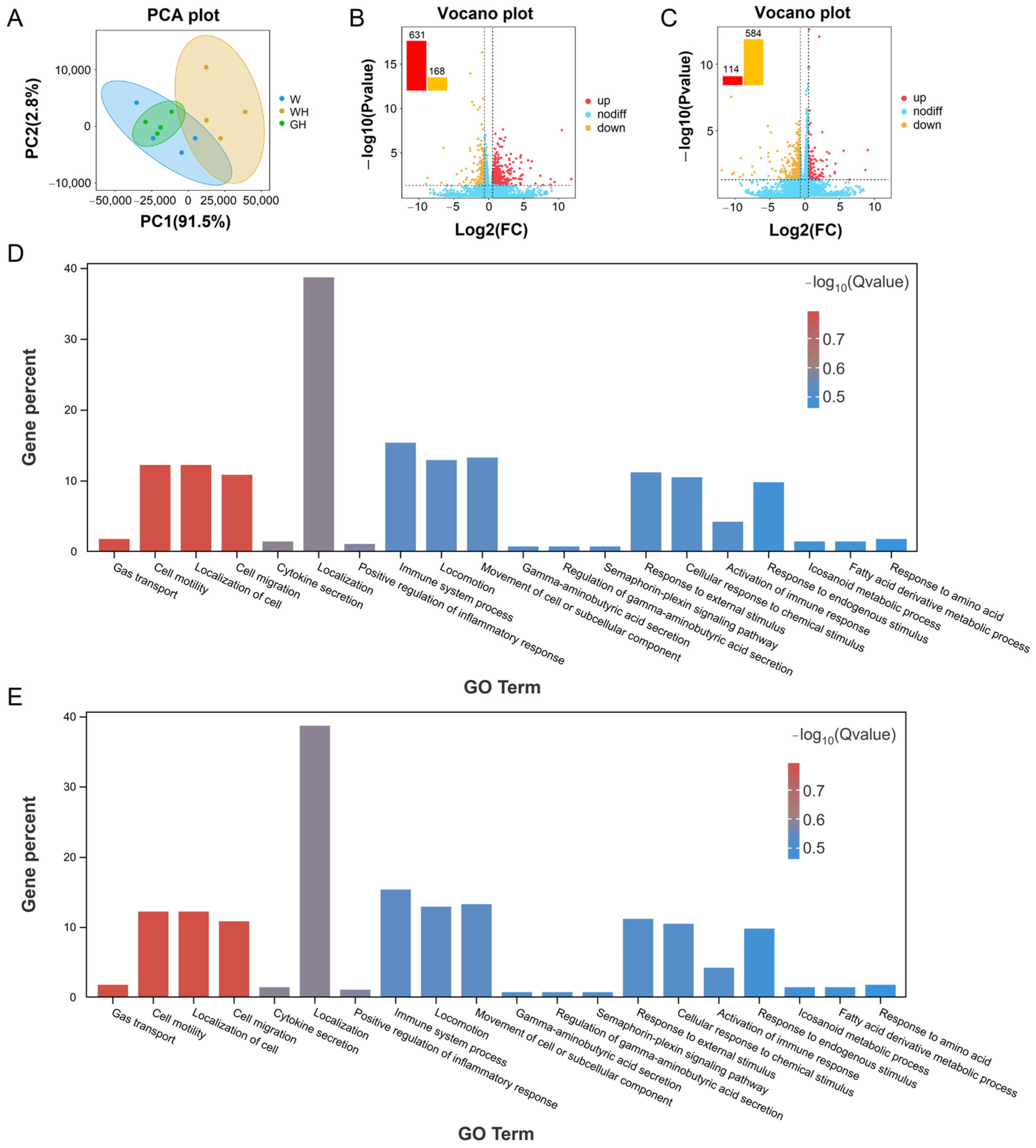 Antioxidants 13 00772 g005 Antioxidants 13 00772 g005