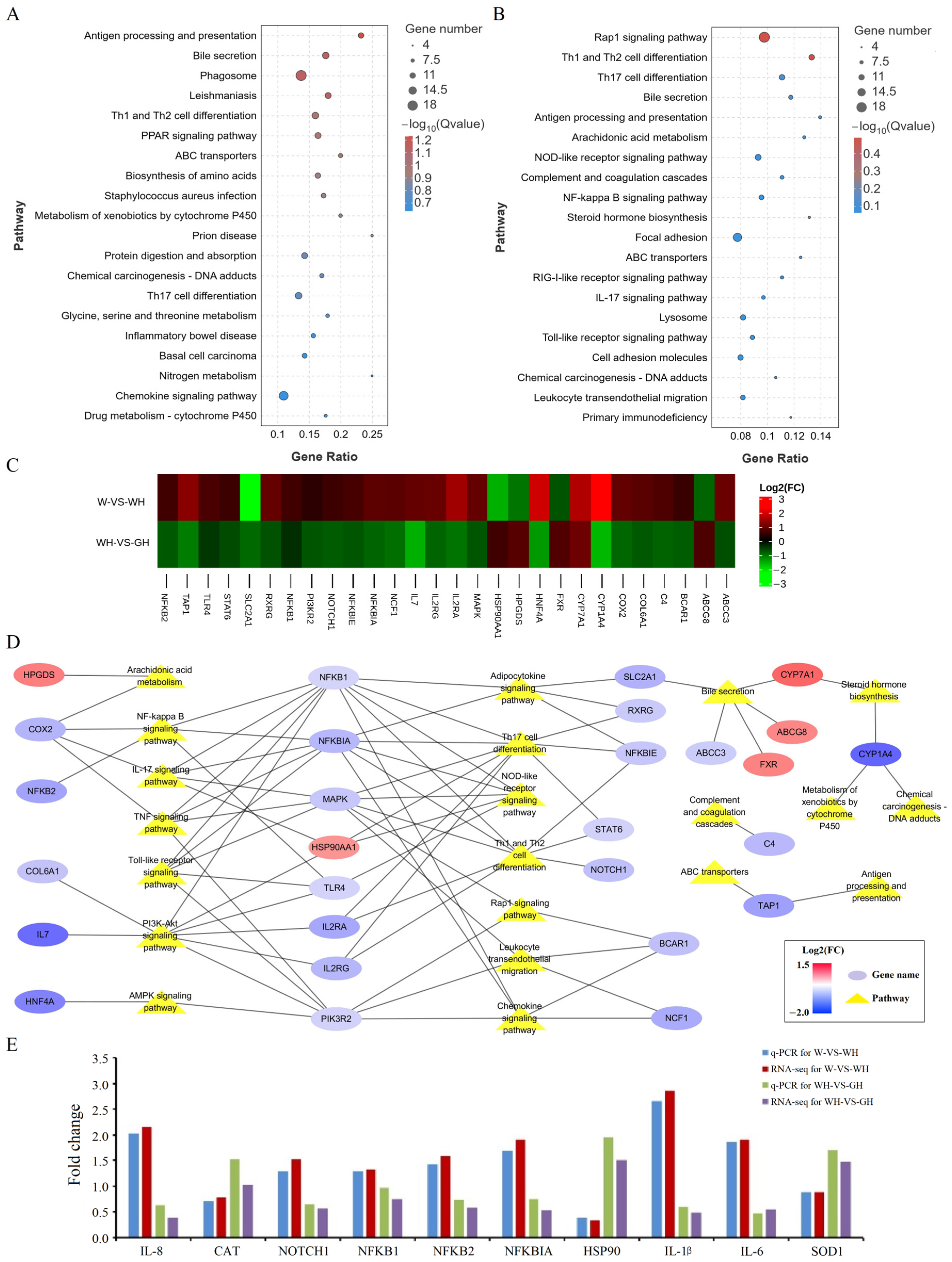 Antioxidants 13 00772 g006 Antioxidants 13 00772 g006