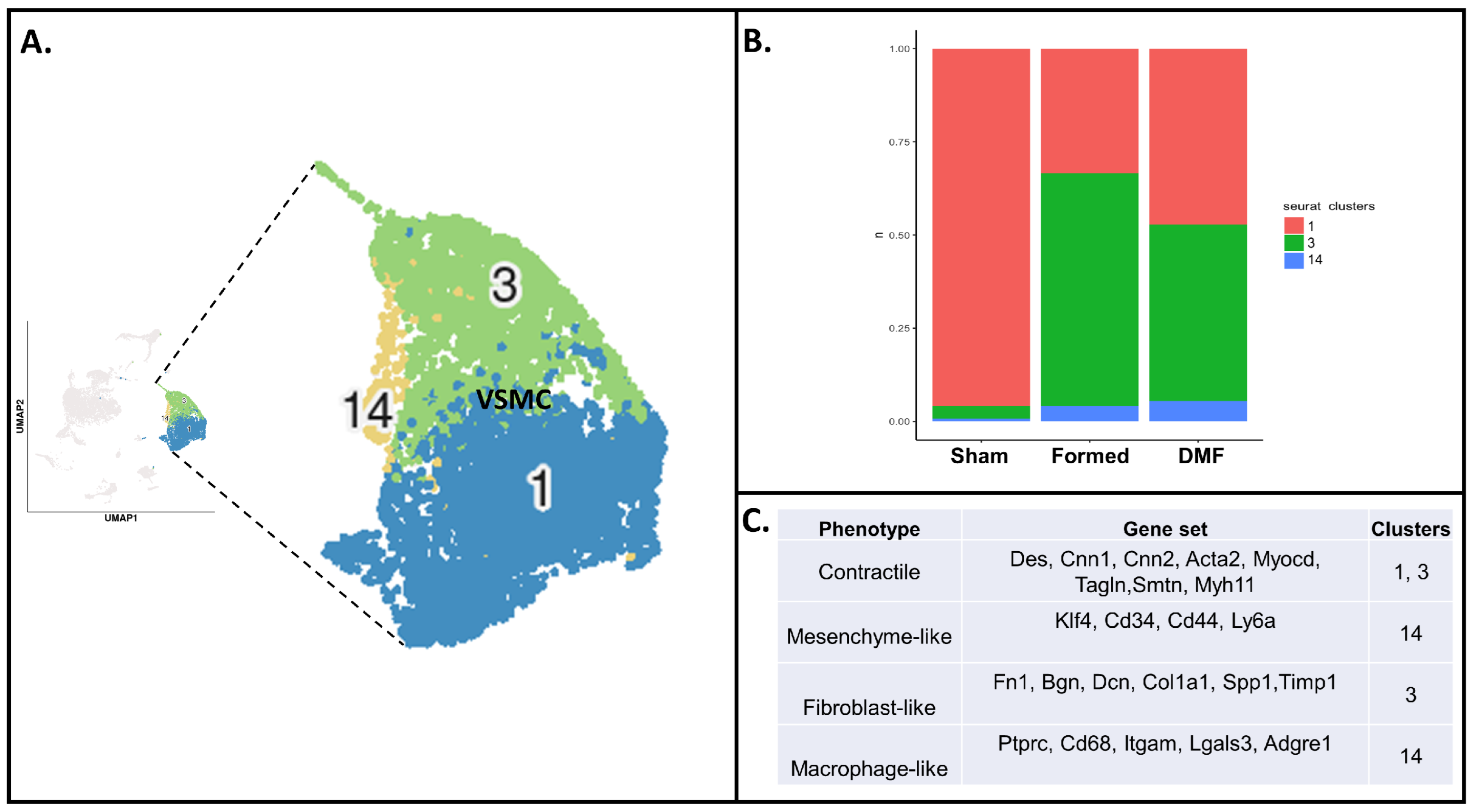 Antioxidants 13 00773 g001