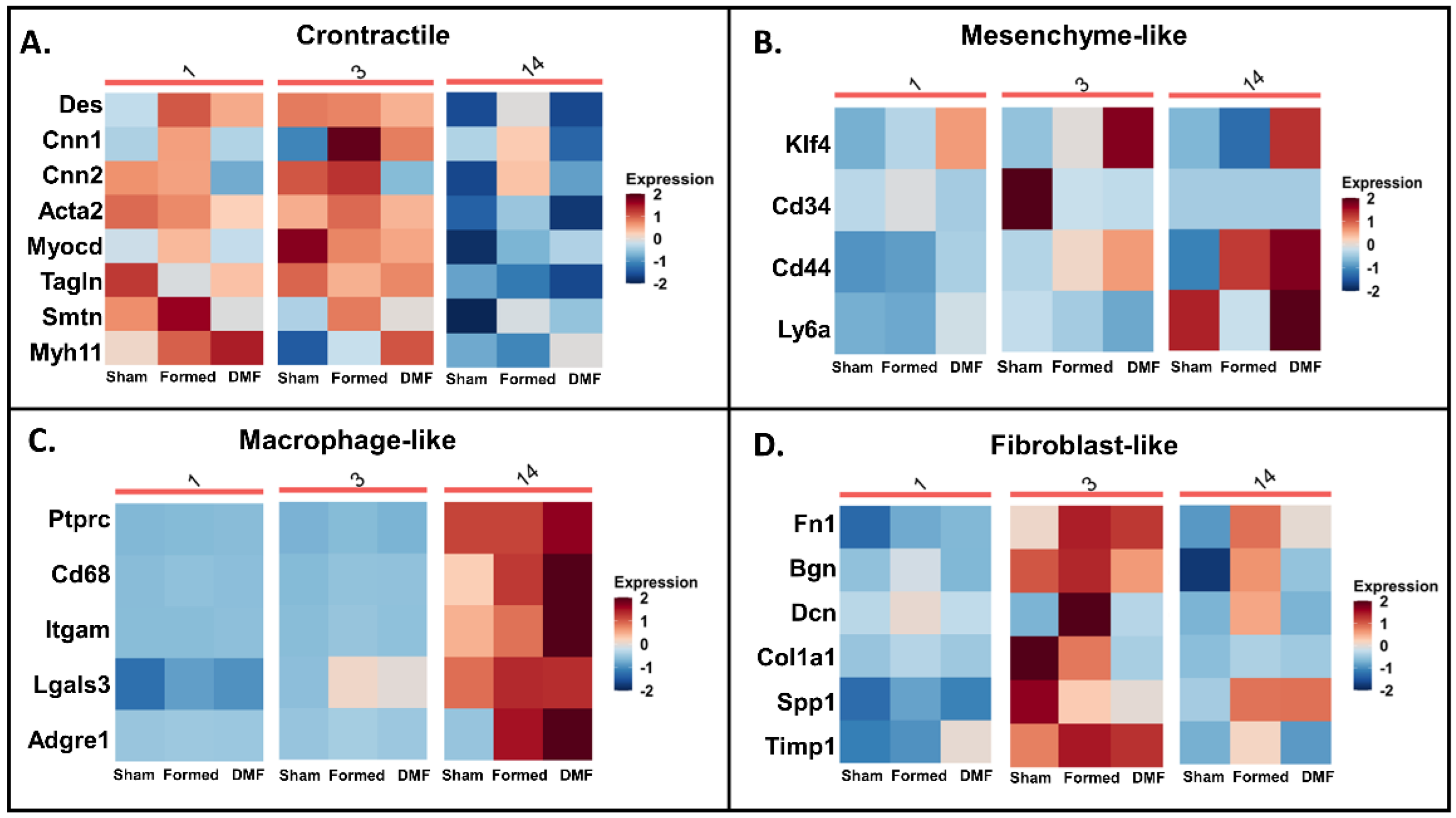 Antioxidants 13 00773 g002