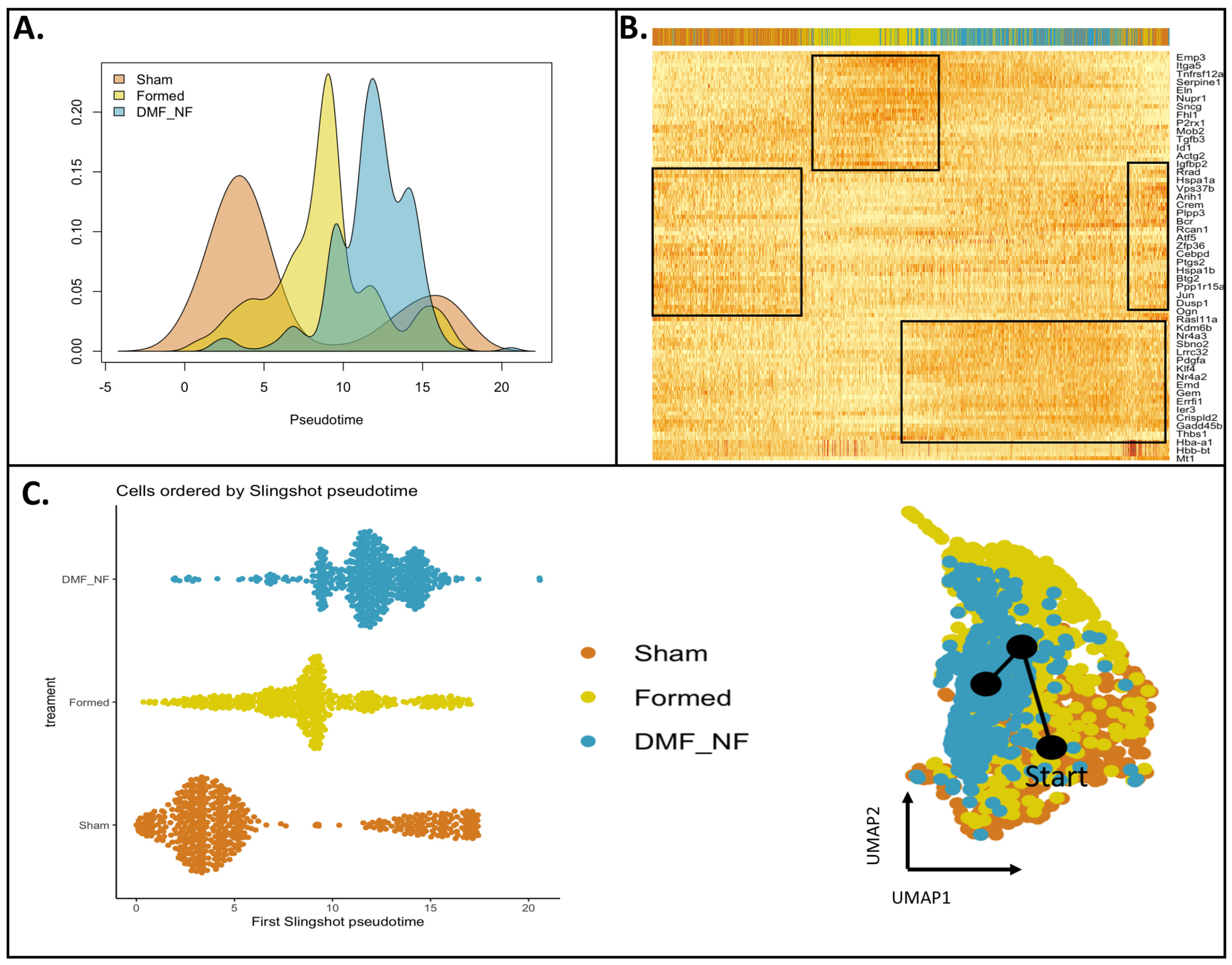 Antioxidants 13 00773 g003
