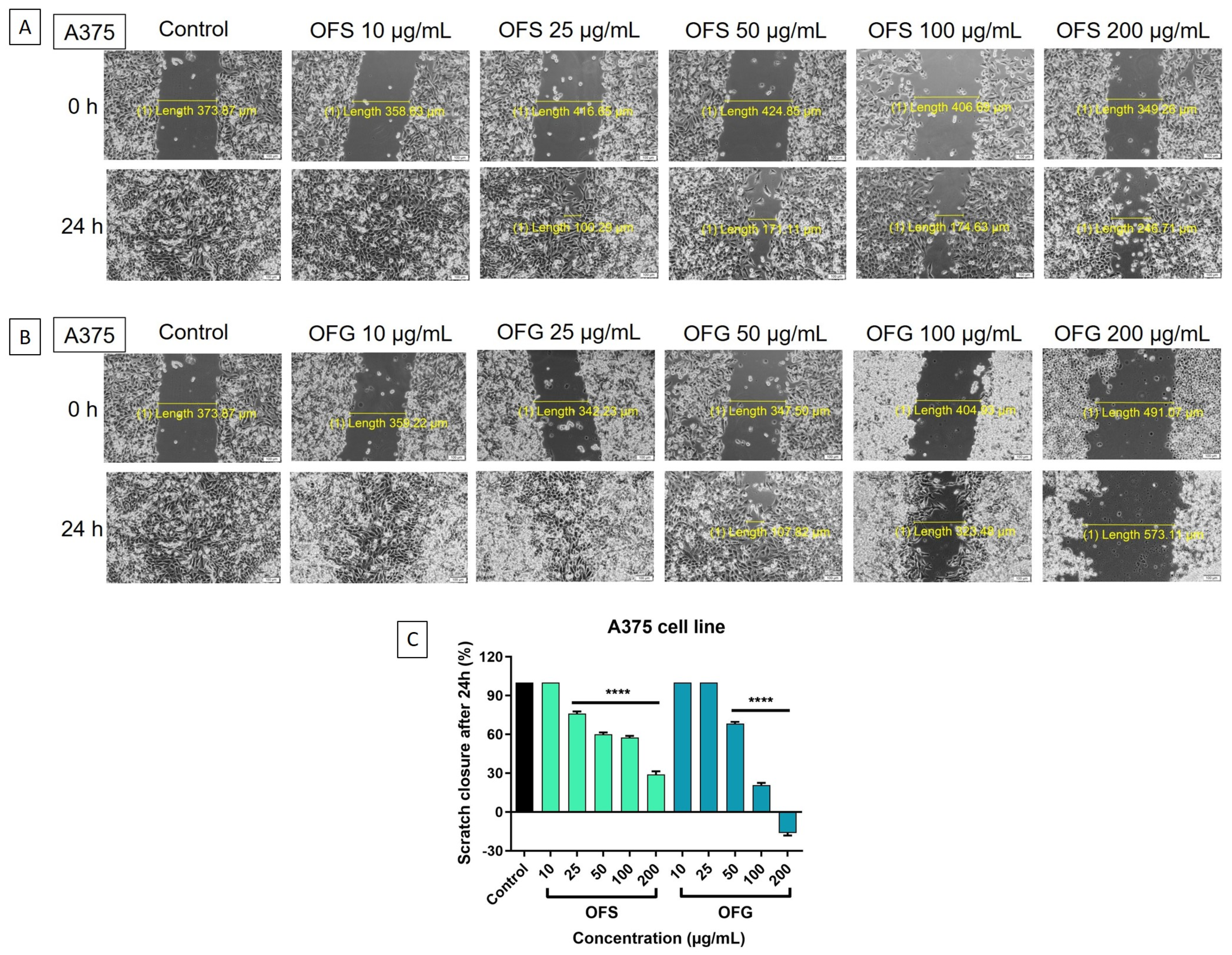 Antioxidants 13 00774 g010 Antioxidants 13 00774 g010
