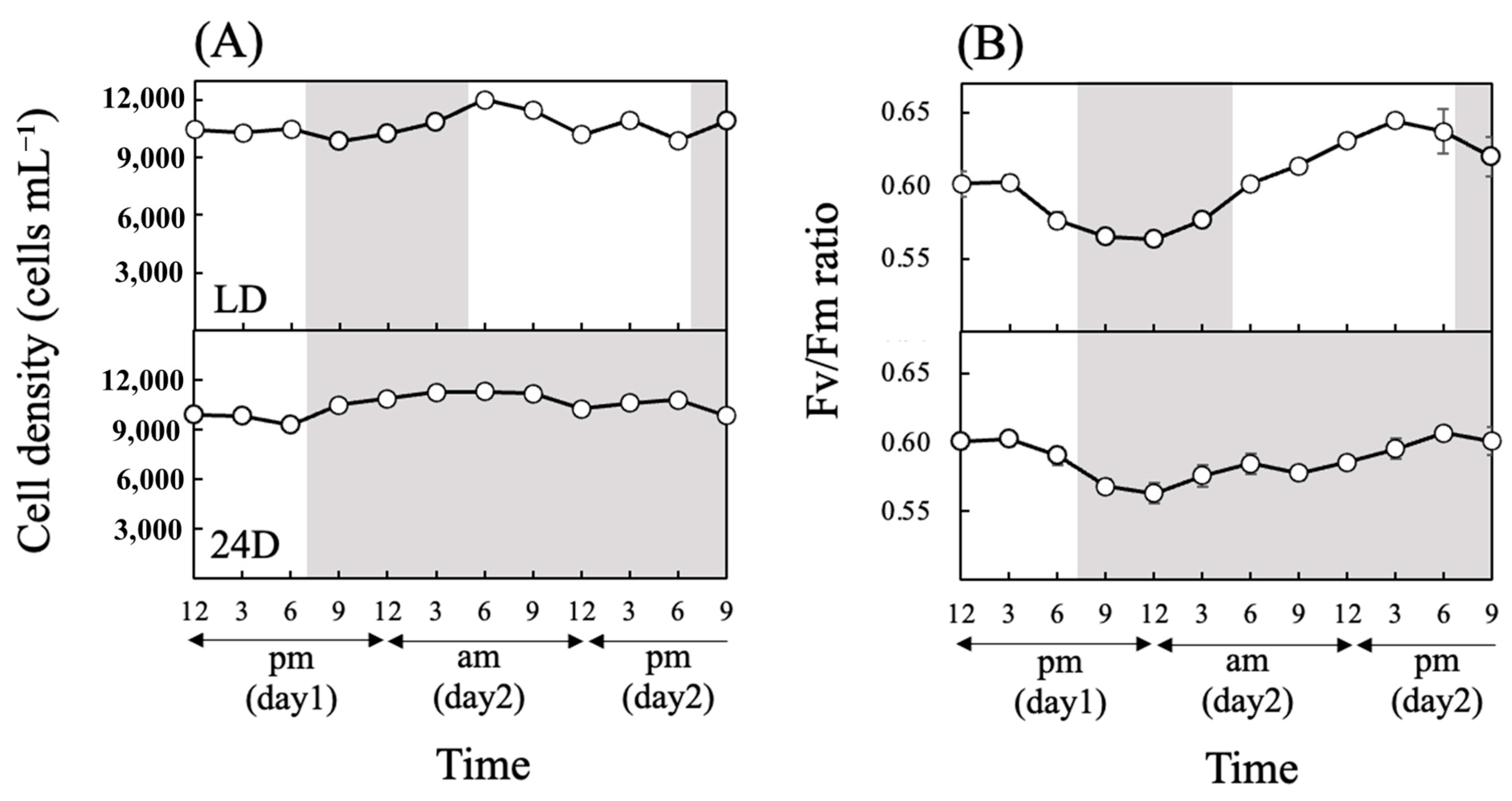 Antioxidants 13 00781 g002