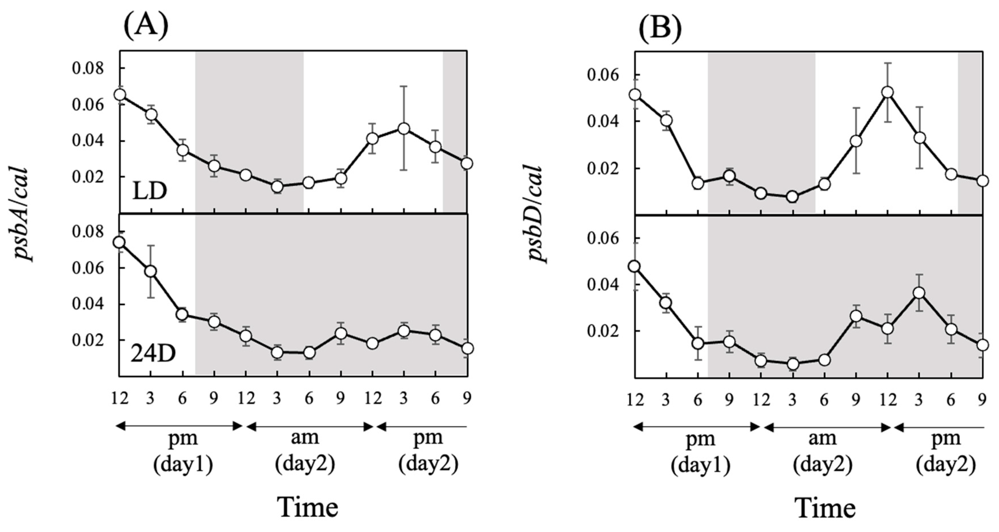 Antioxidants 13 00781 g004