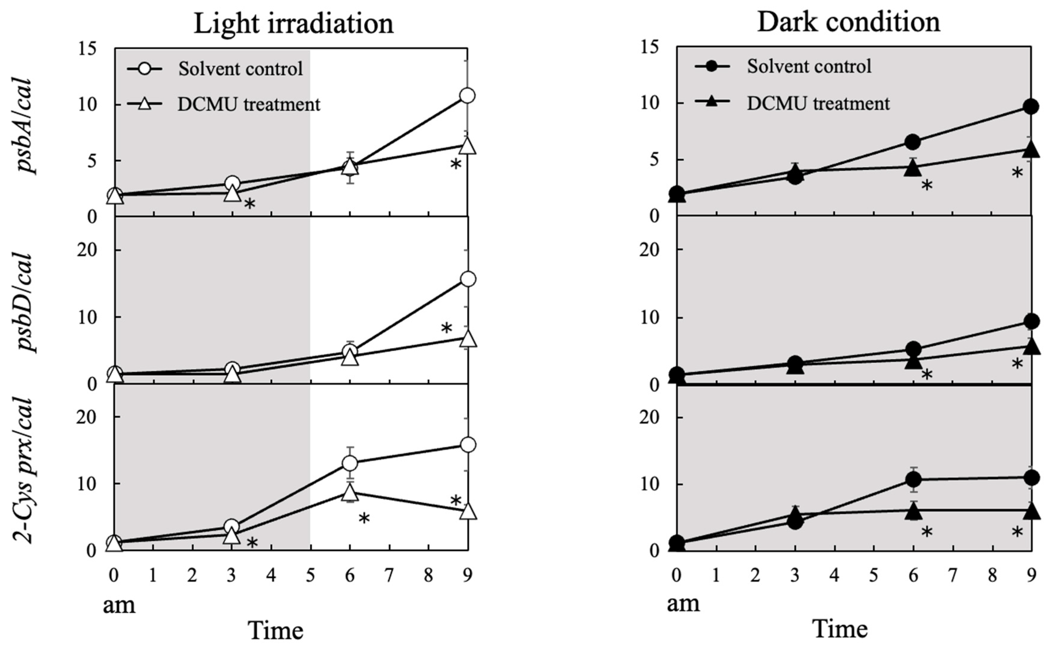 Antioxidants 13 00781 g006