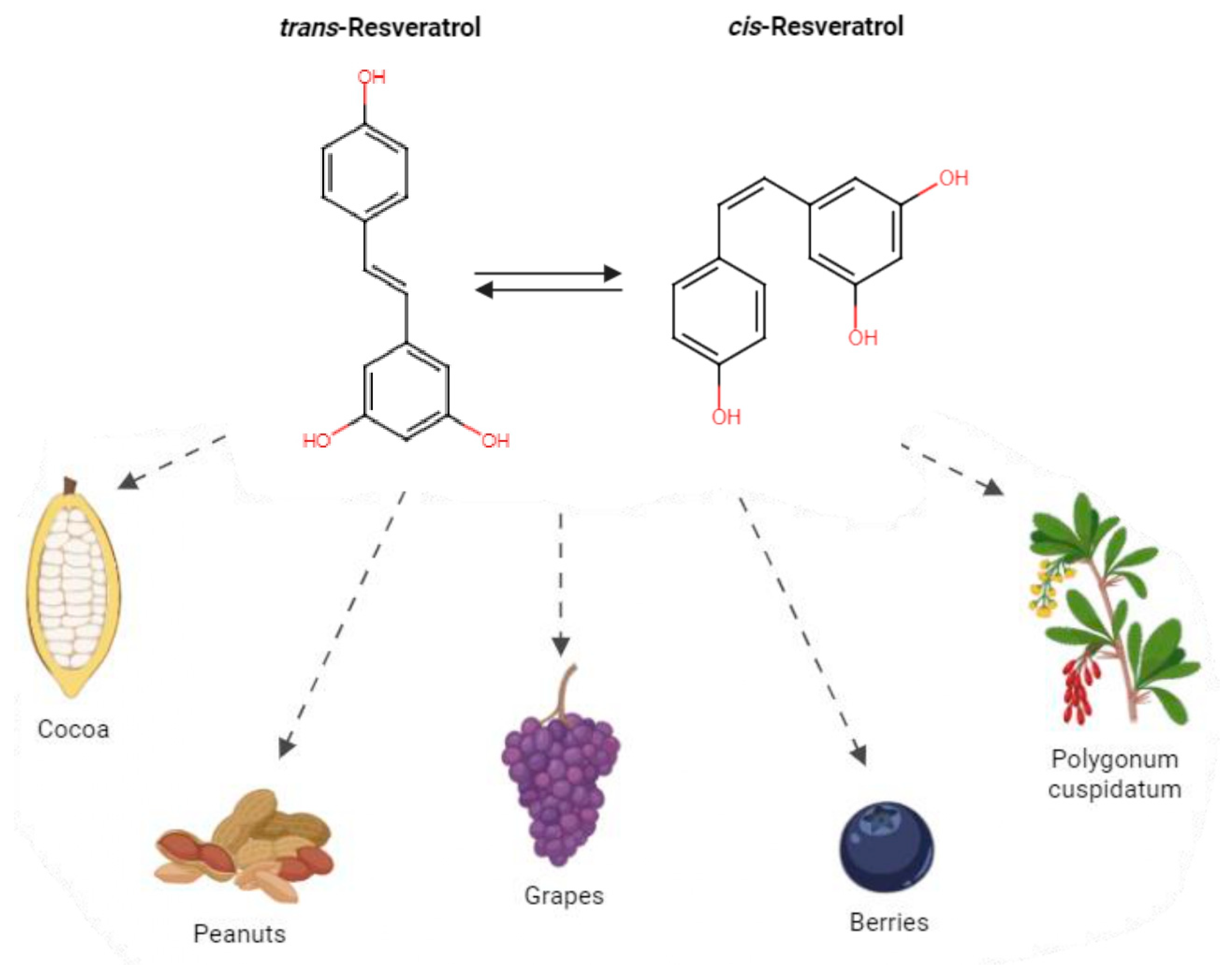 Antioxidants 13 00782 g001 Antioxidants 13 00782 g001