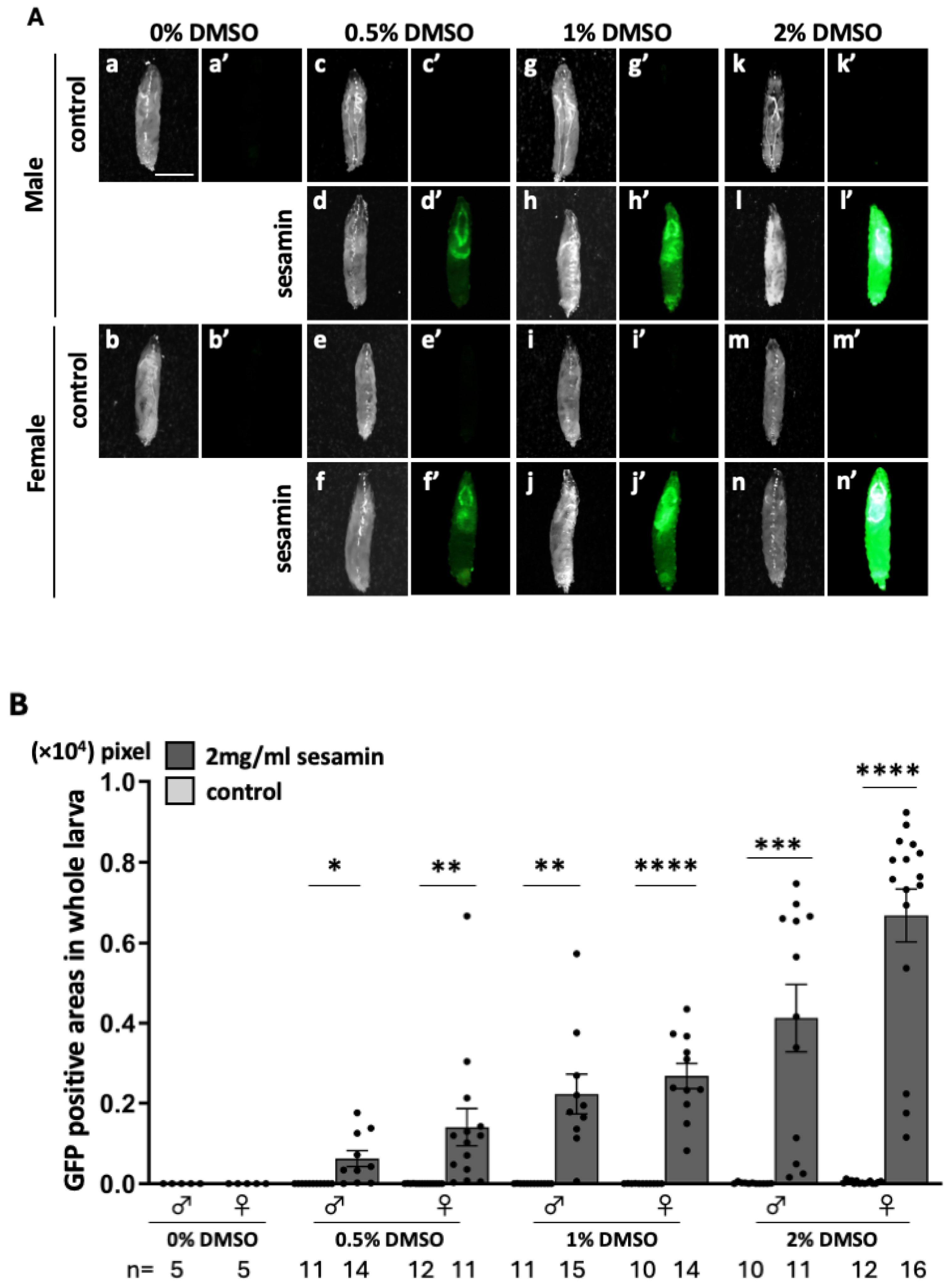 Antioxidants 13 00787 g001