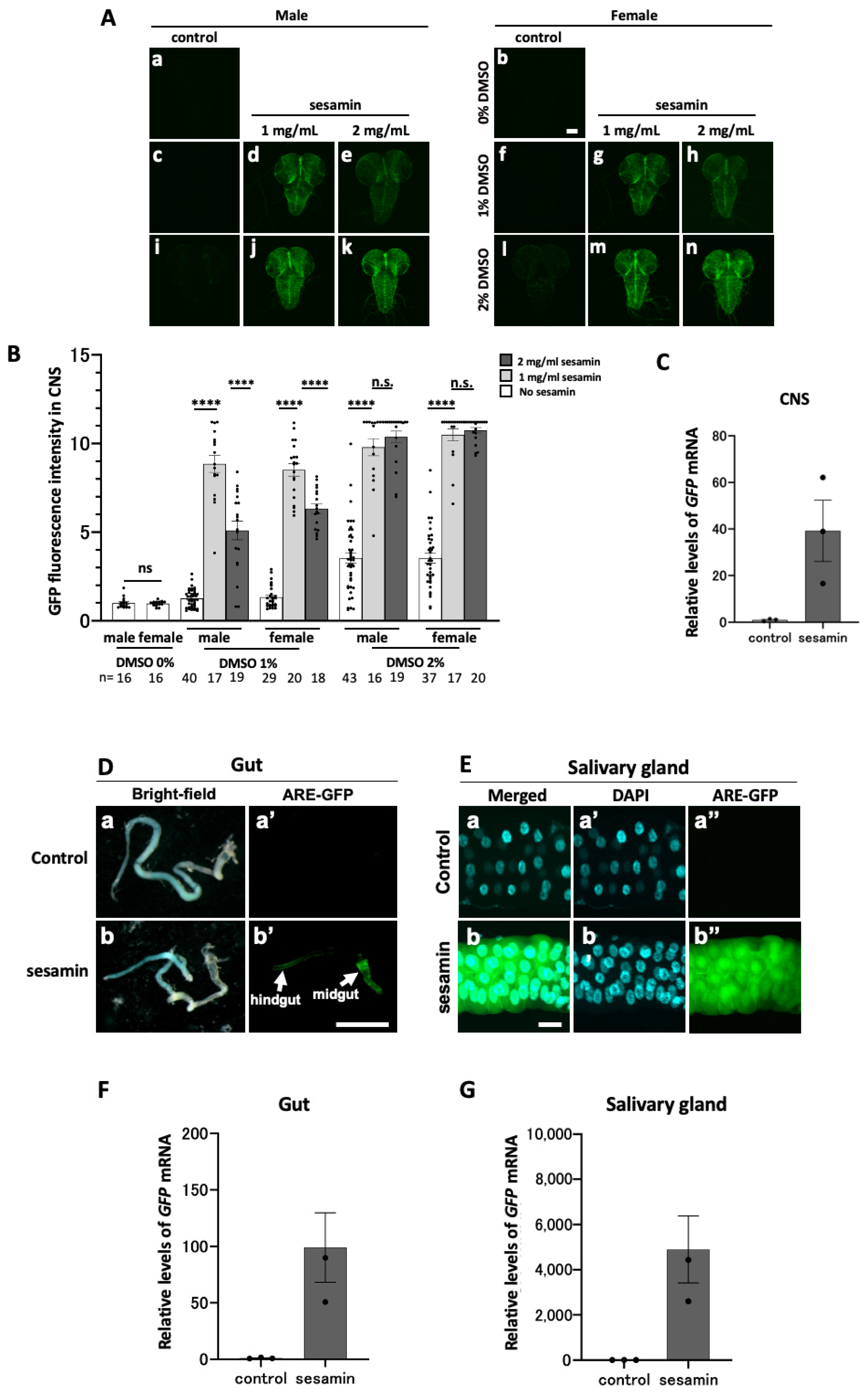 Antioxidants 13 00787 g002