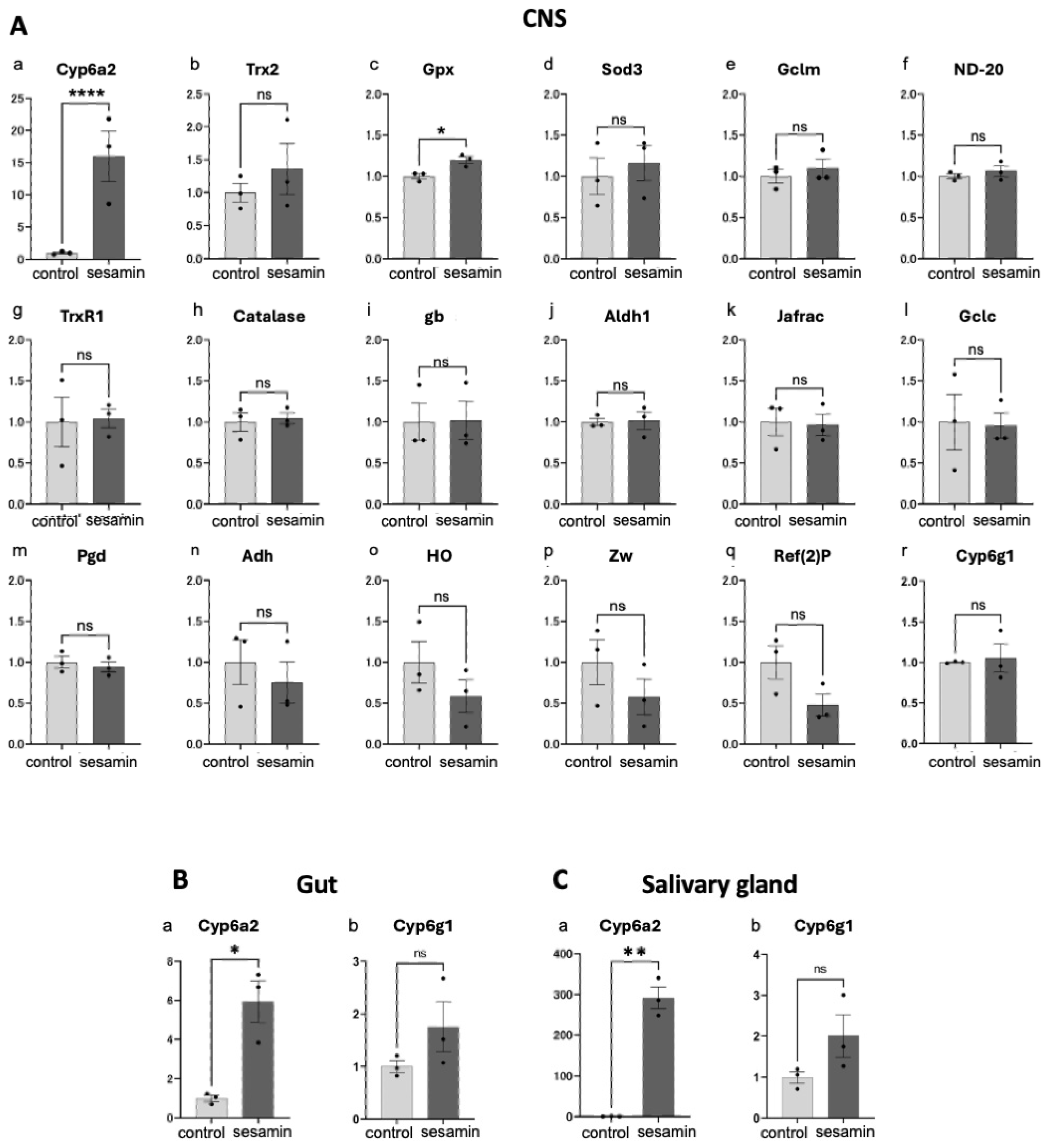 Antioxidants 13 00787 g005