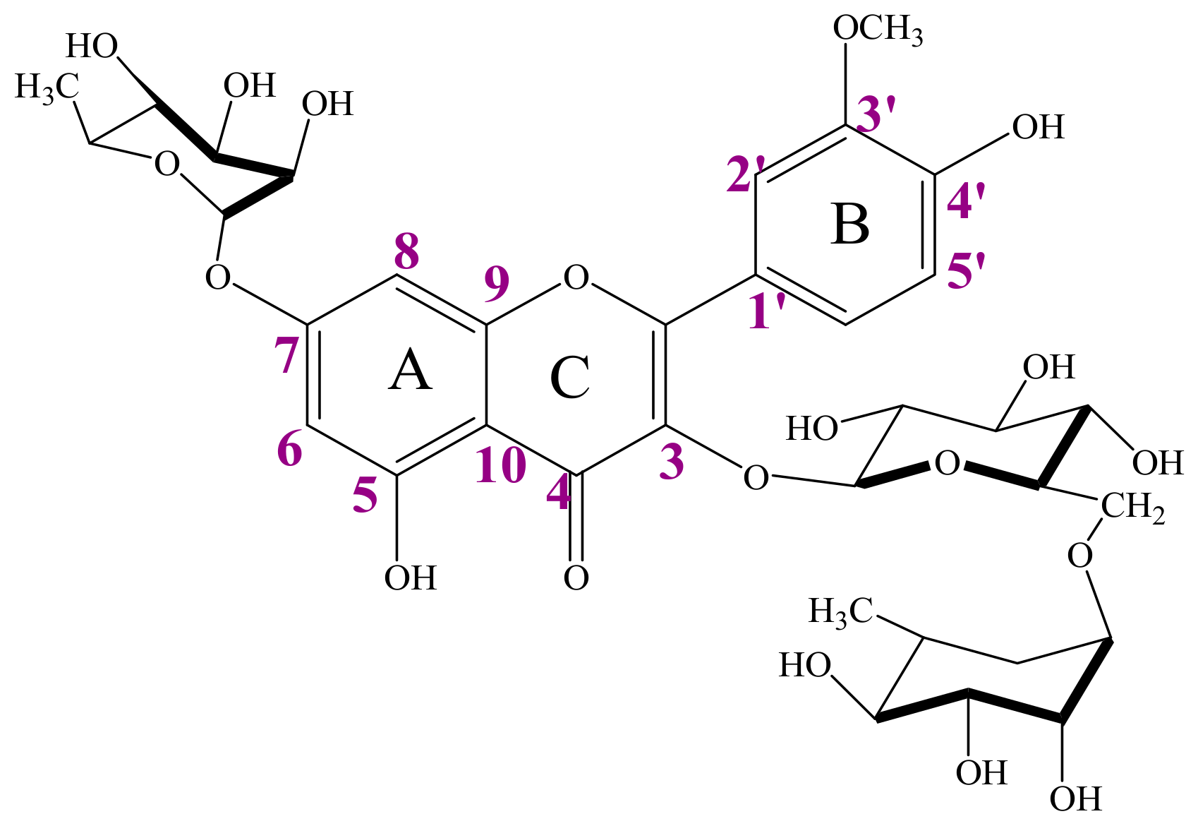 Antioxidants 13 00793 g003