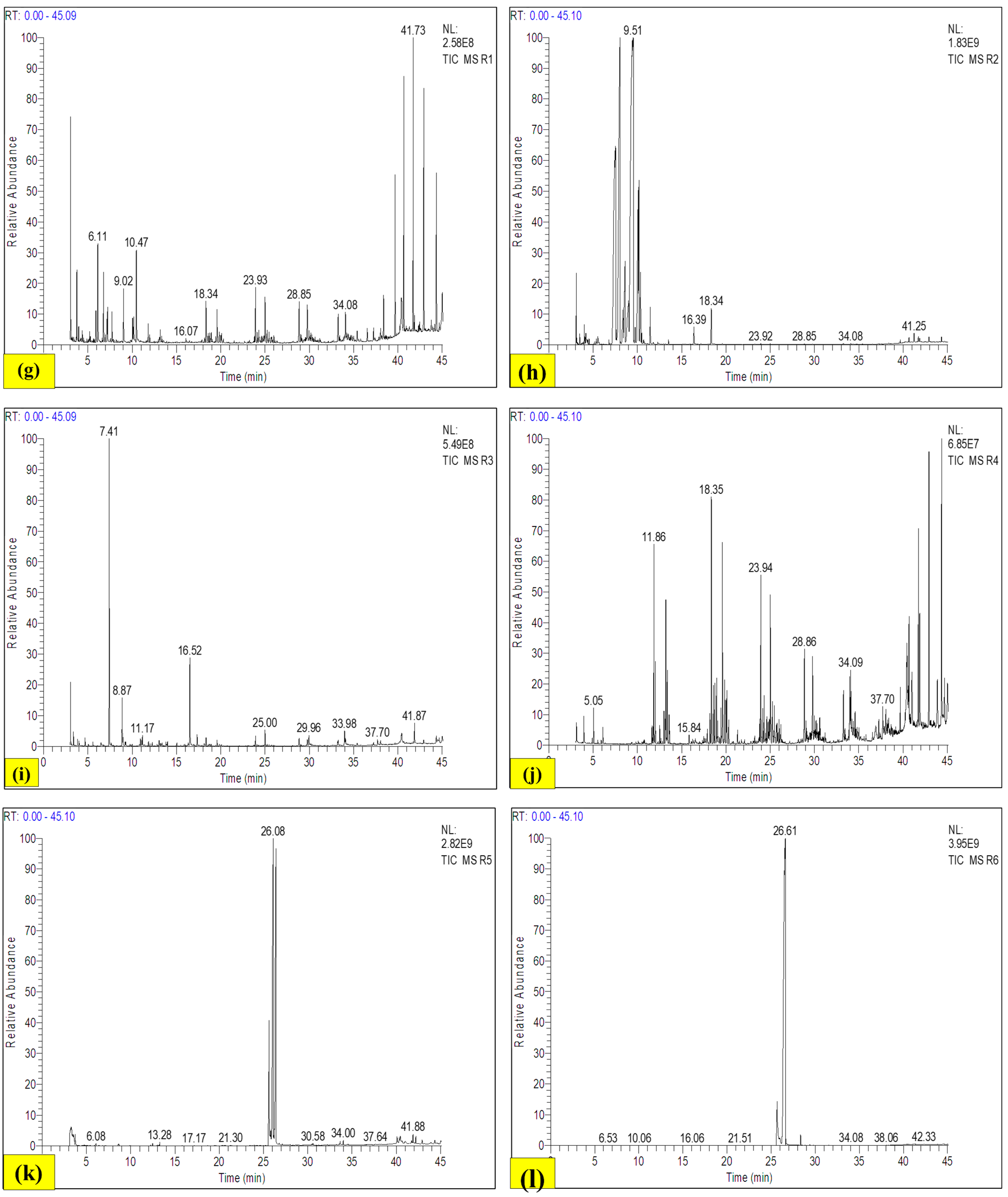 Antioxidants 13 00794 g009b Antioxidants 13 00794 g009b