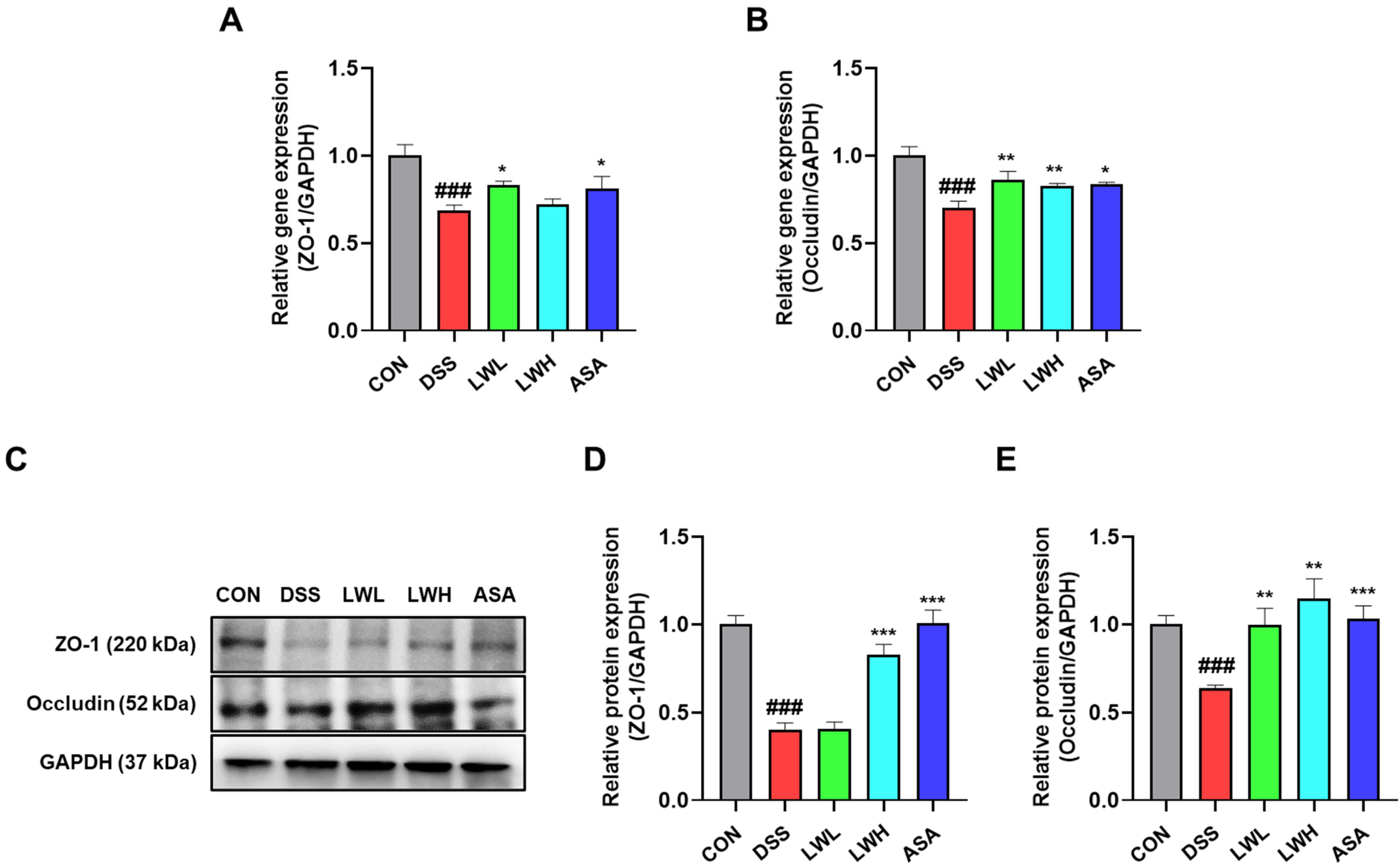Antioxidants 13 00795 g009