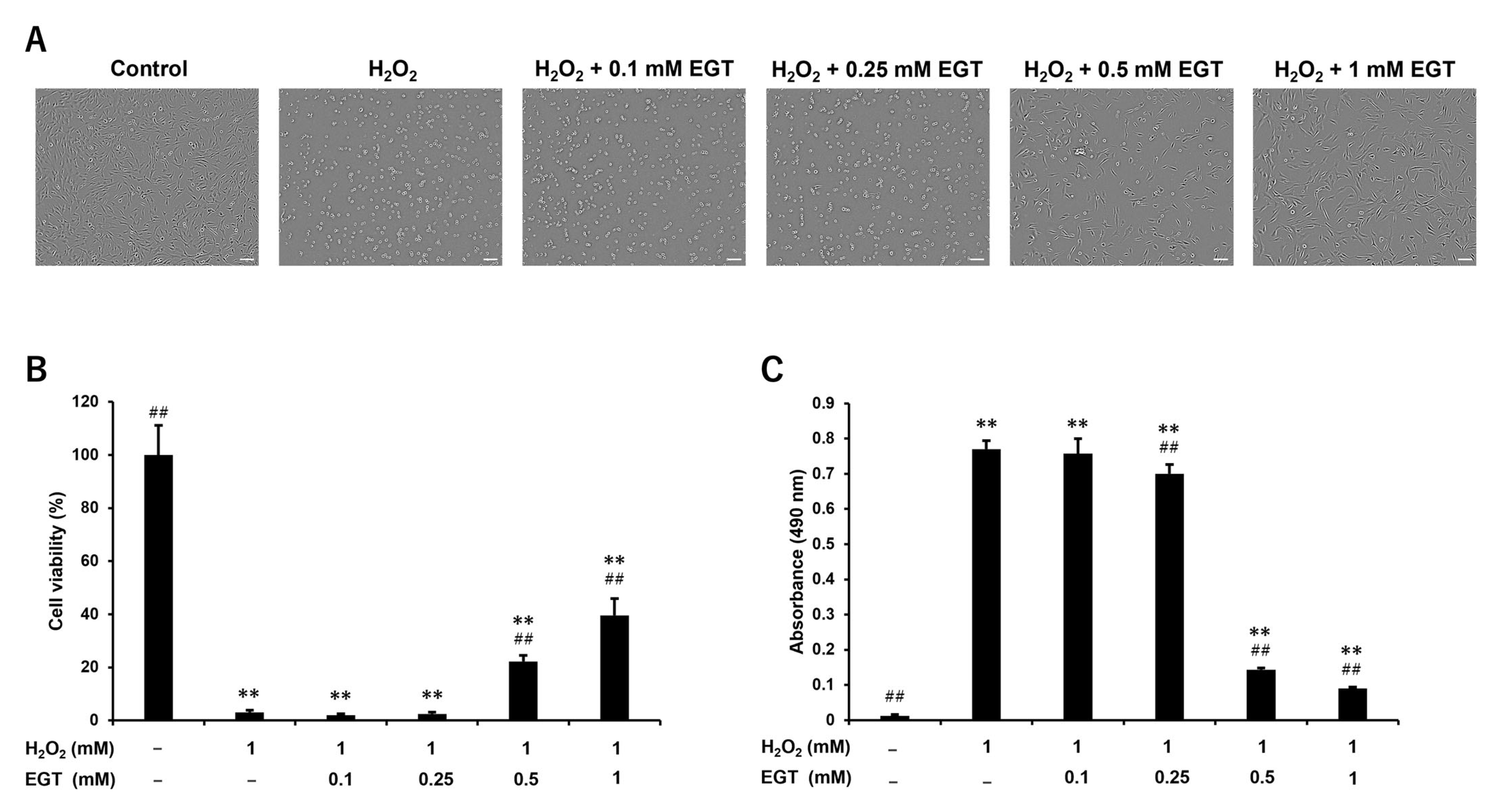 Antioxidants 13 00800 g002