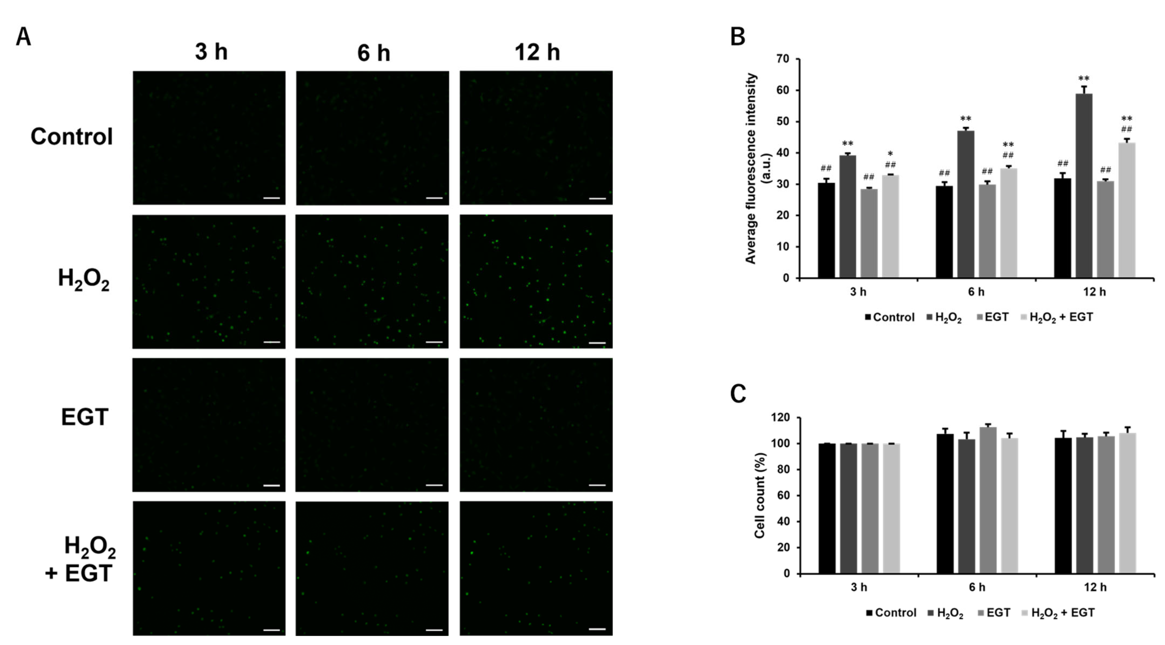 Antioxidants 13 00800 g004