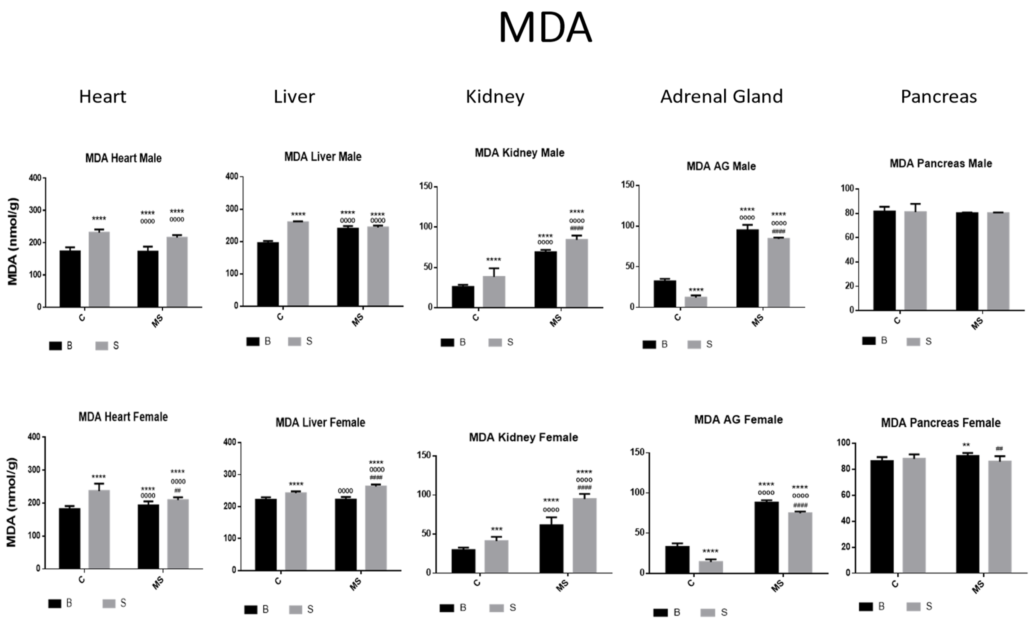 Antioxidants 13 00802 g008
