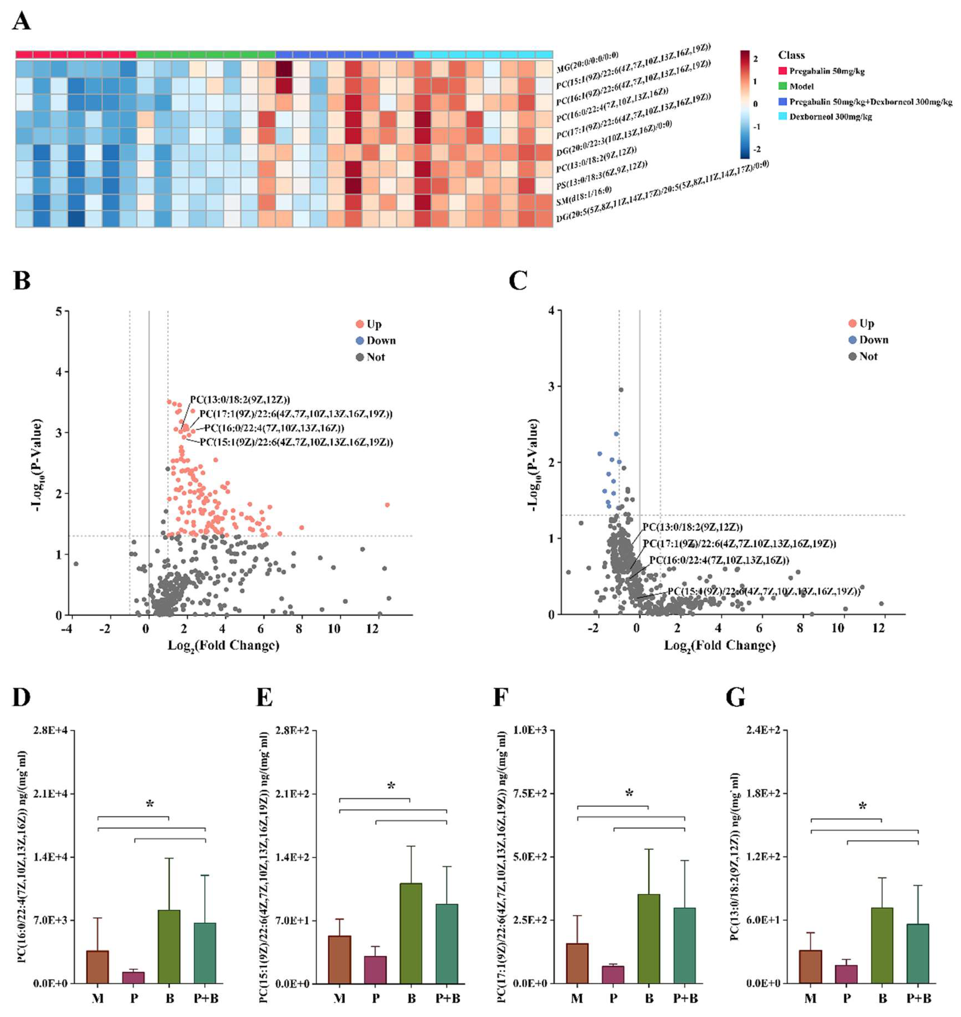 Antioxidants 13 00803 g008