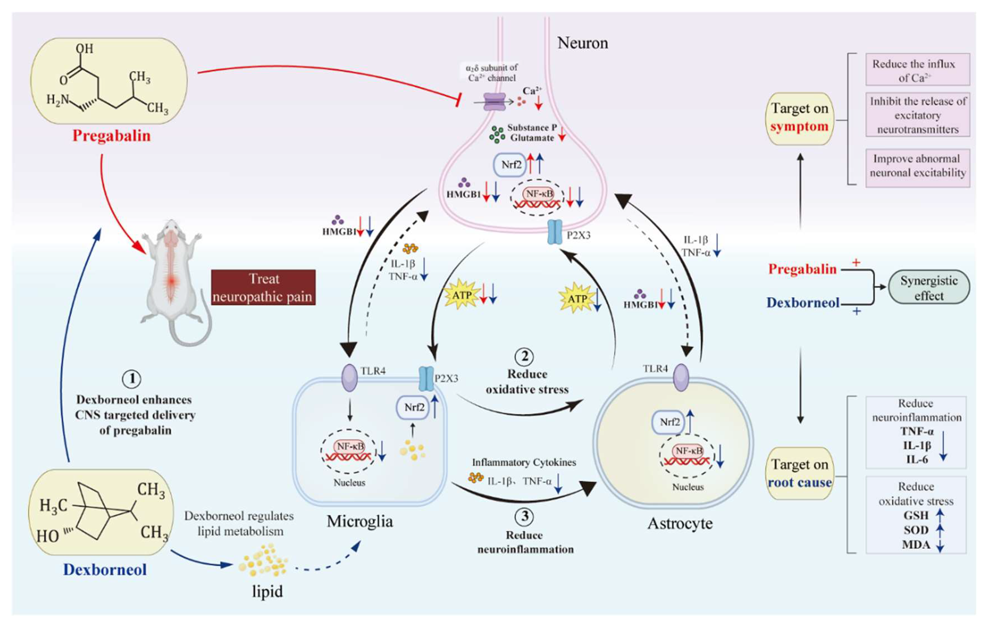 Antioxidants 13 00803 g009
