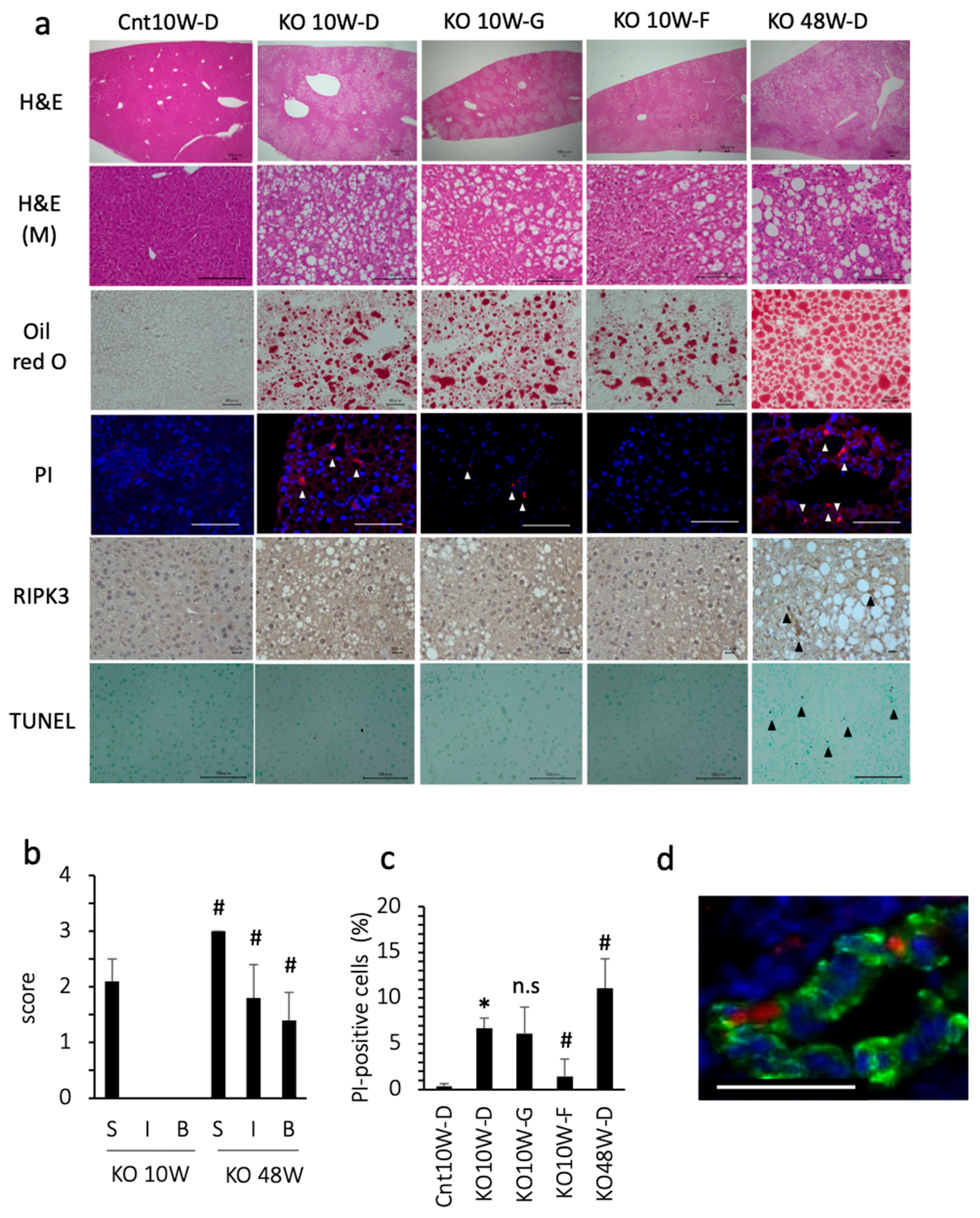 Antioxidants 13 00805 g001