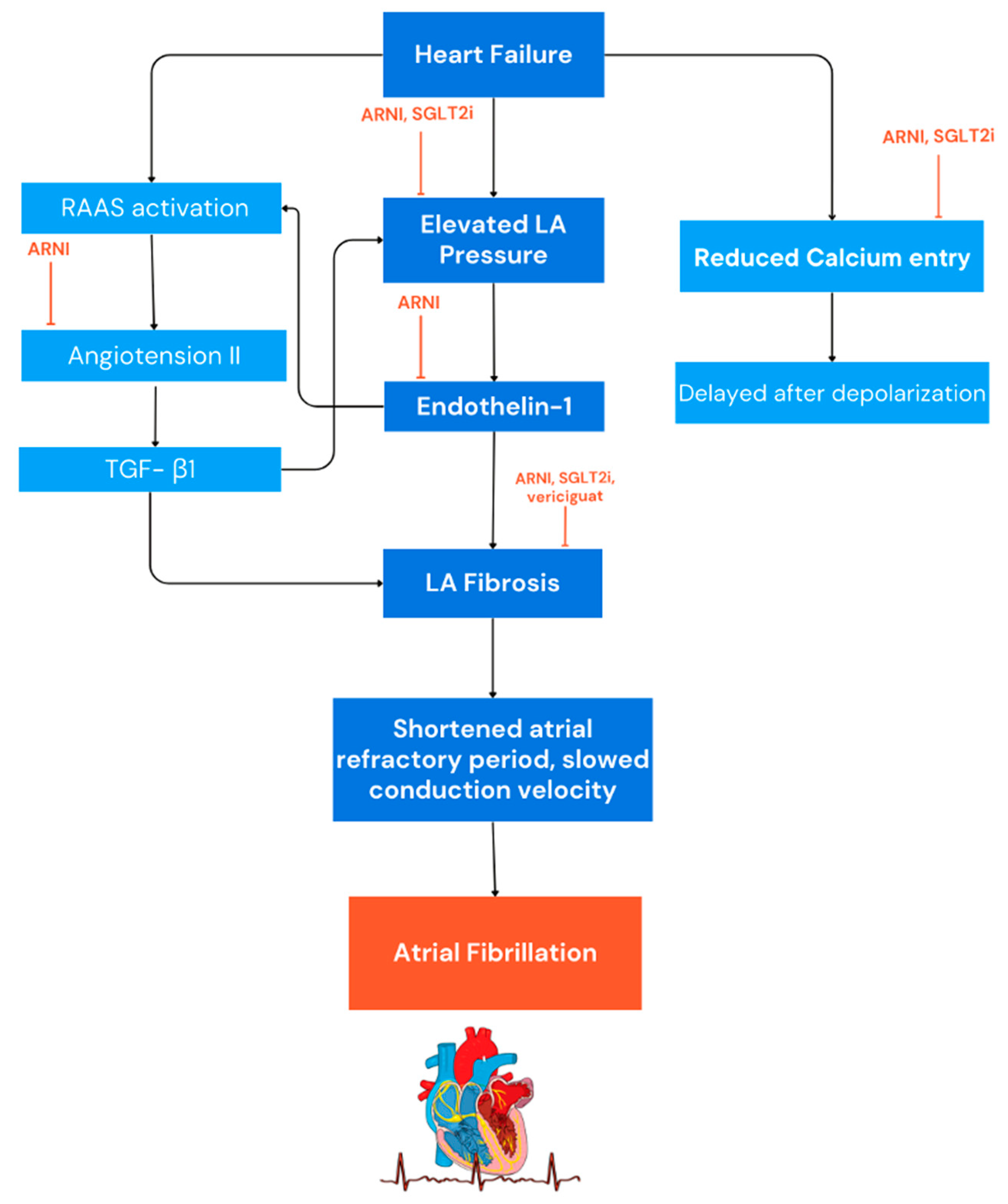 Antioxidants 13 00806 g002