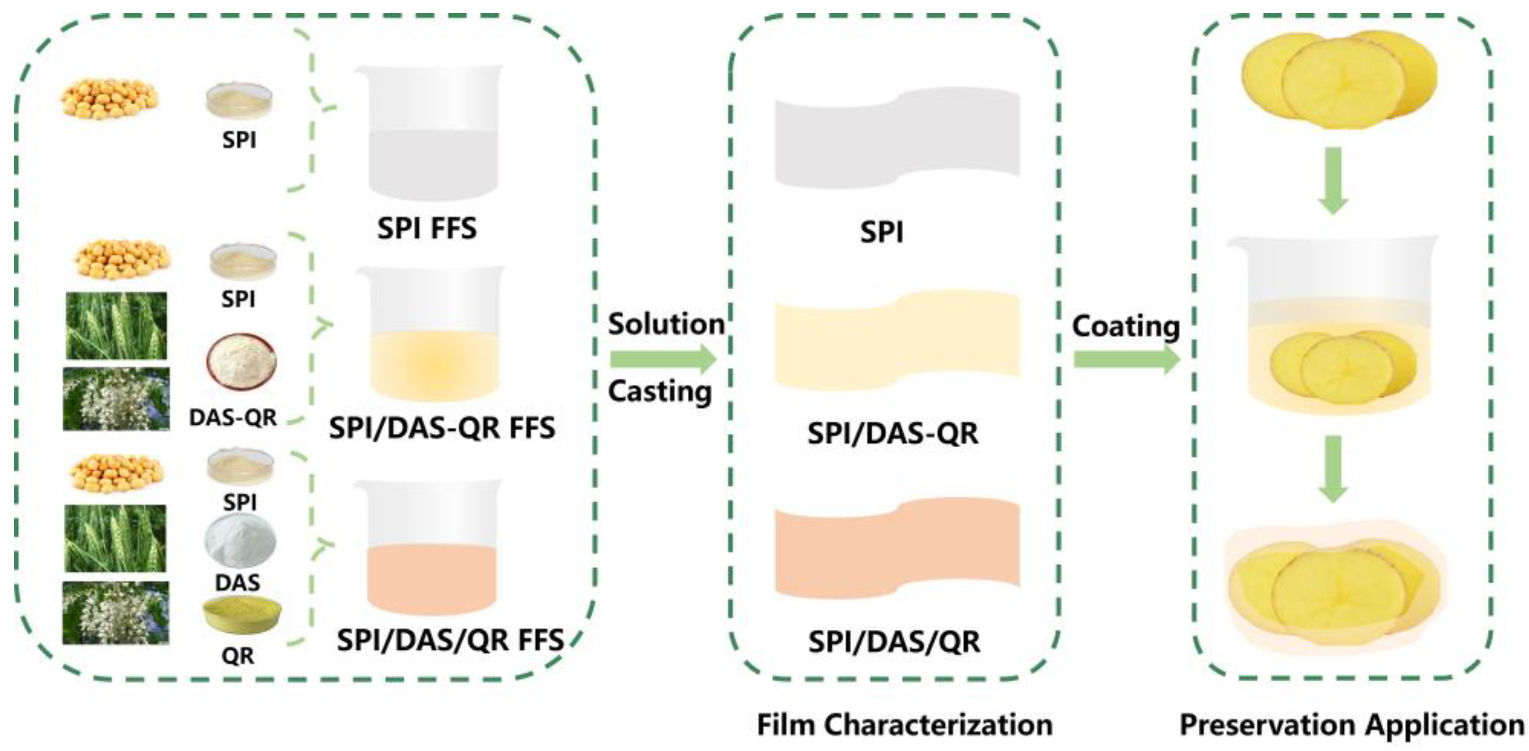 Antioxidants 13 00810 g001