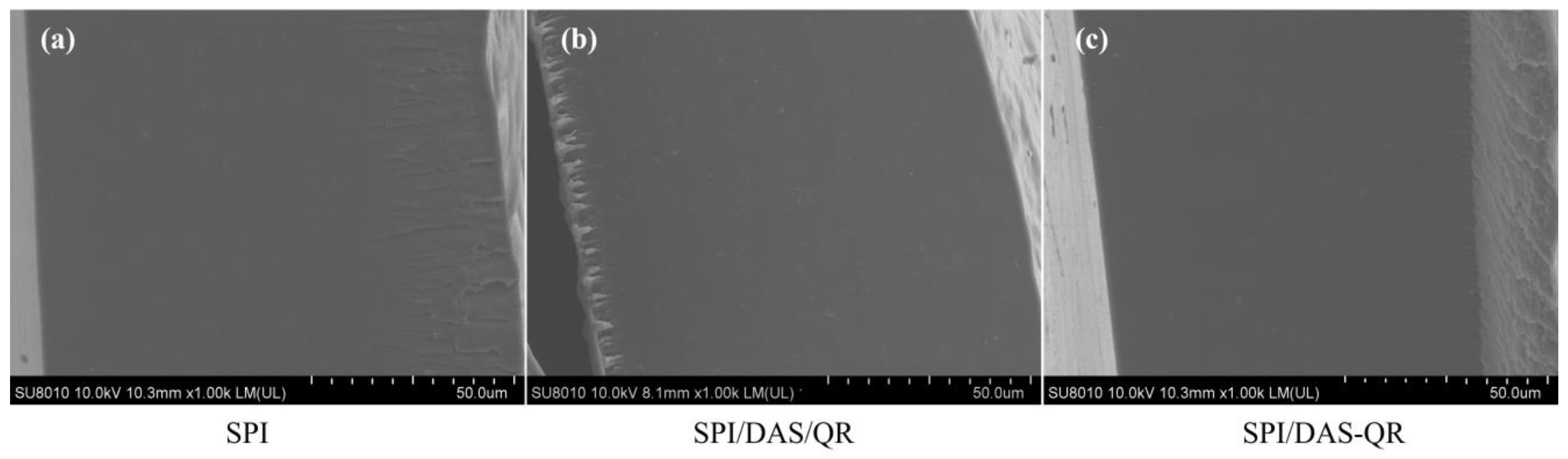 Antioxidants 13 00810 g002