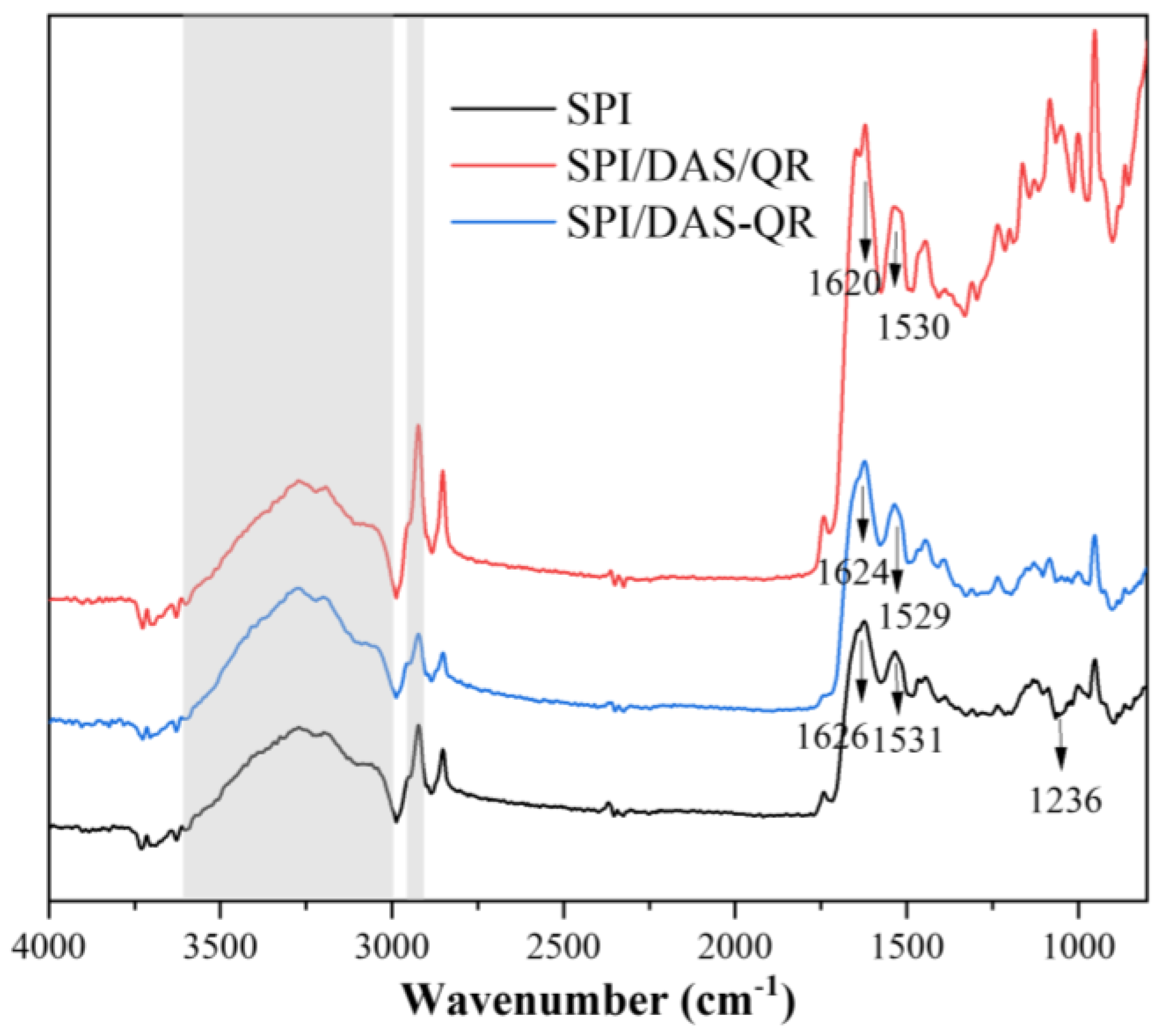 Antioxidants 13 00810 g003