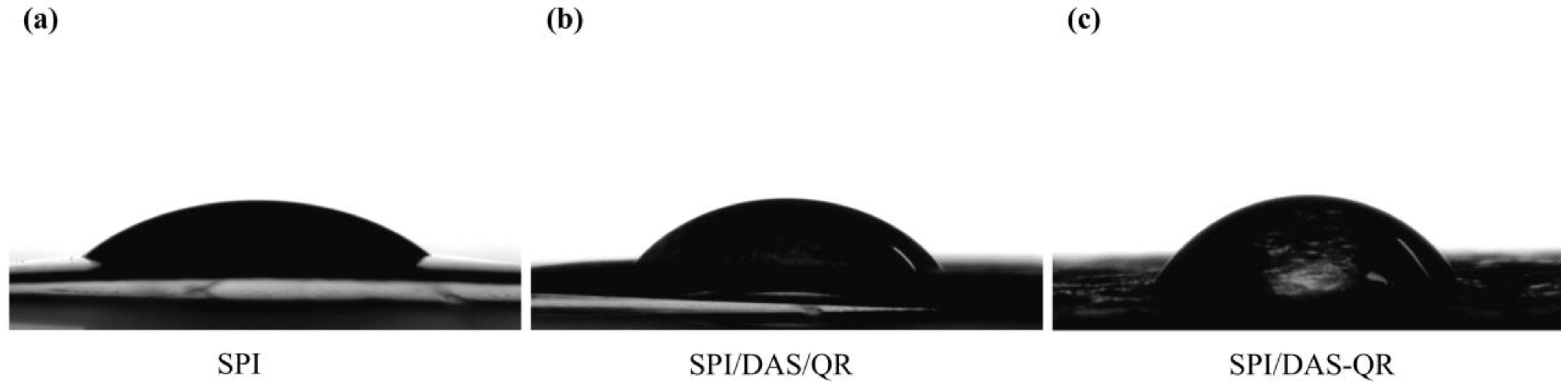 Antioxidants 13 00810 g008