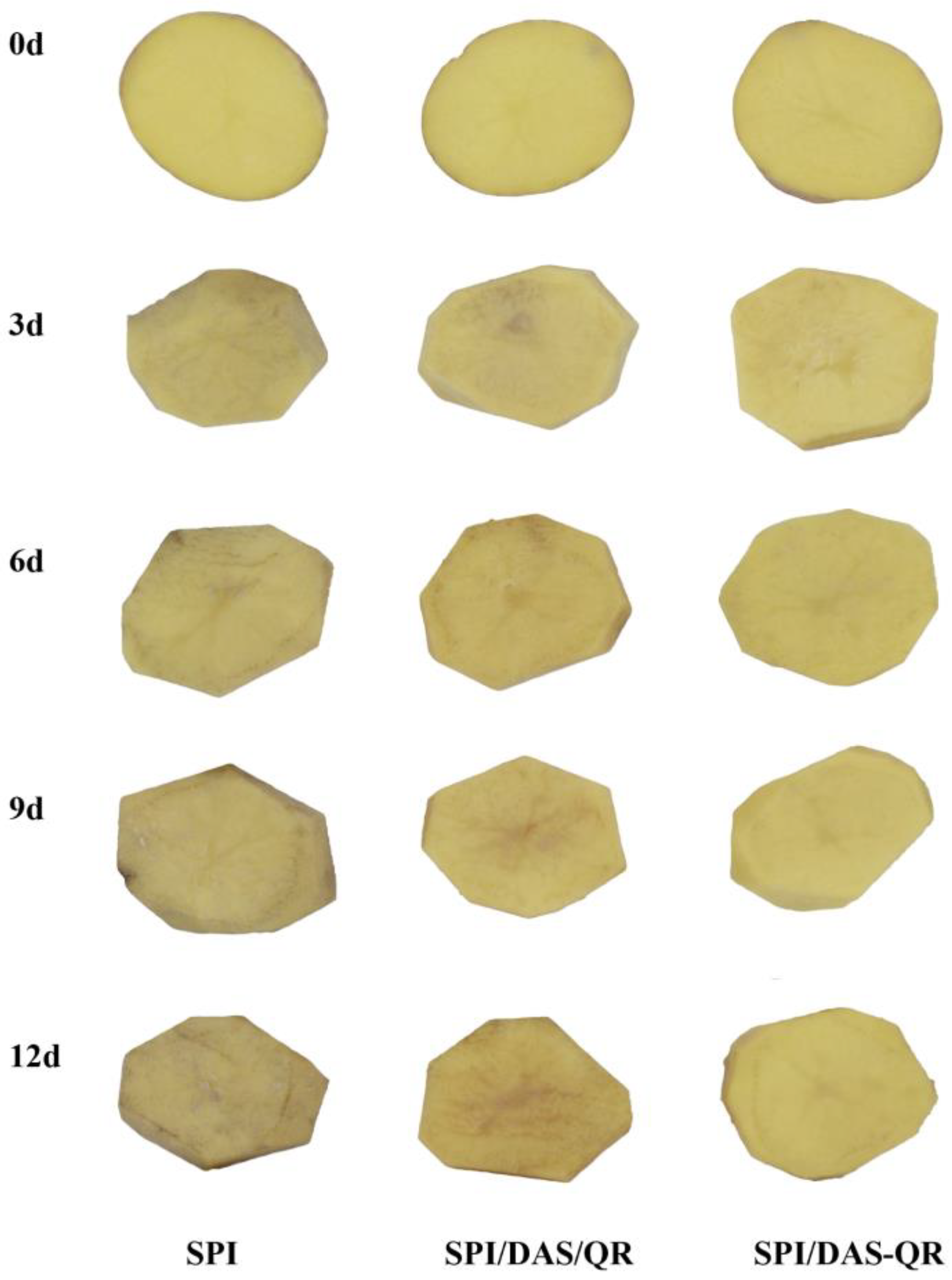 Antioxidants 13 00810 g012