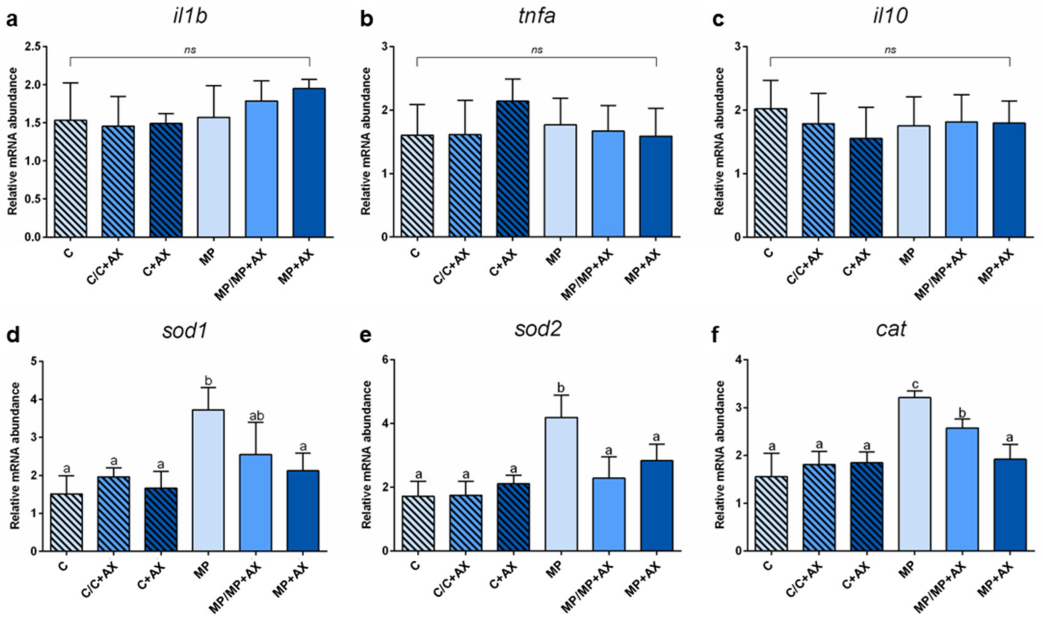 Antioxidants 13 00812 g008