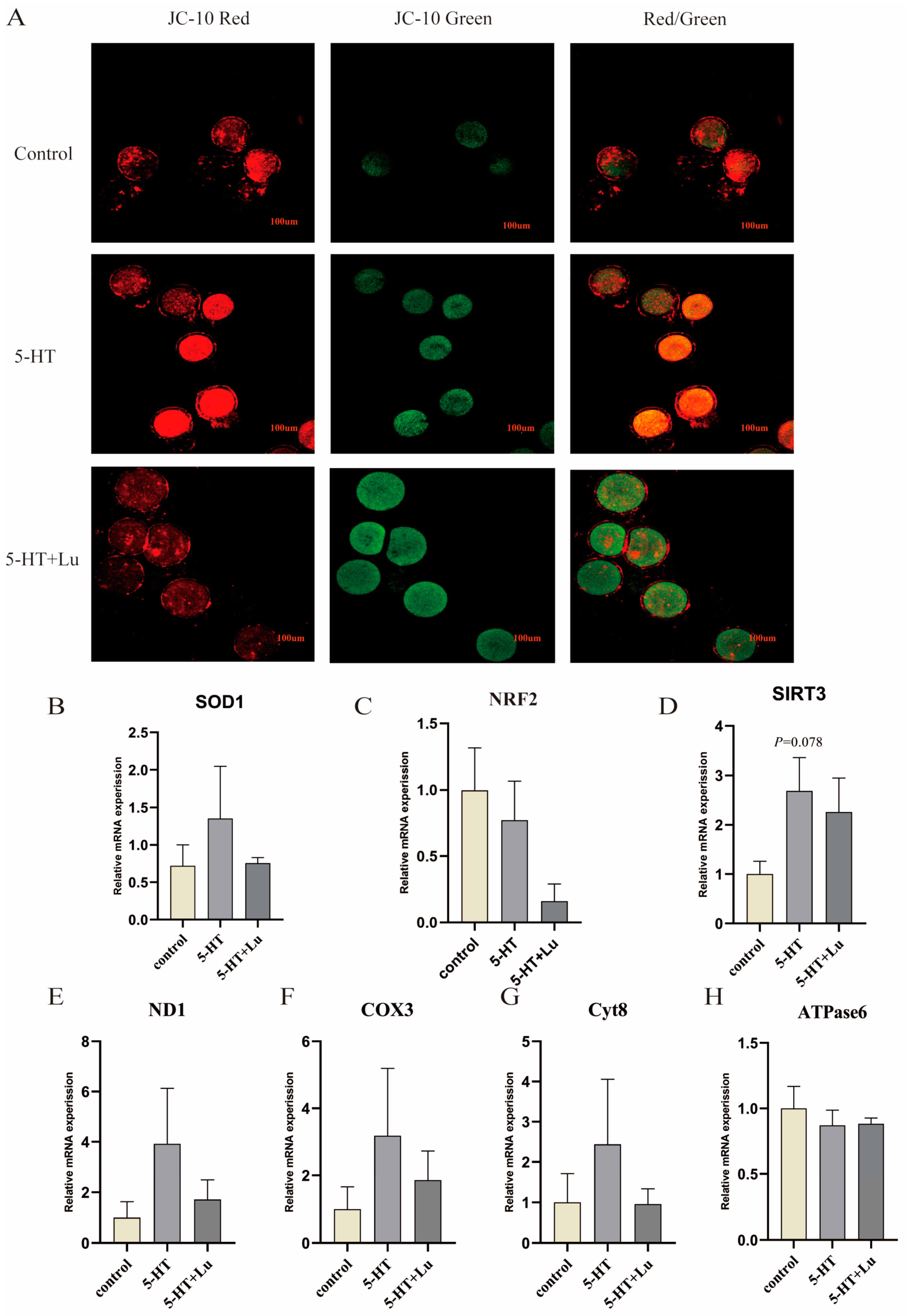 Antioxidants 13 00814 g0a1