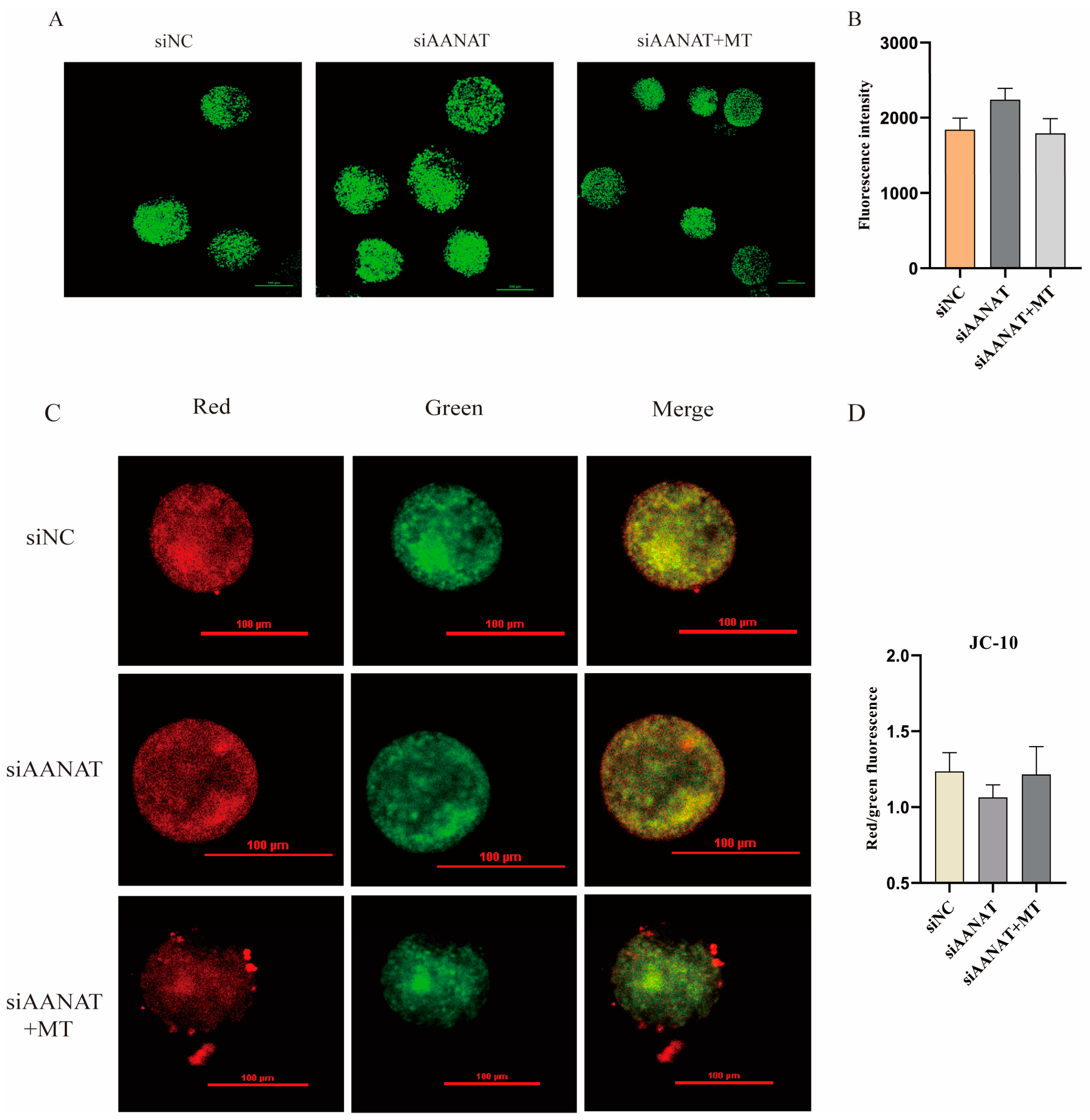 Antioxidants 13 00814 g0a2