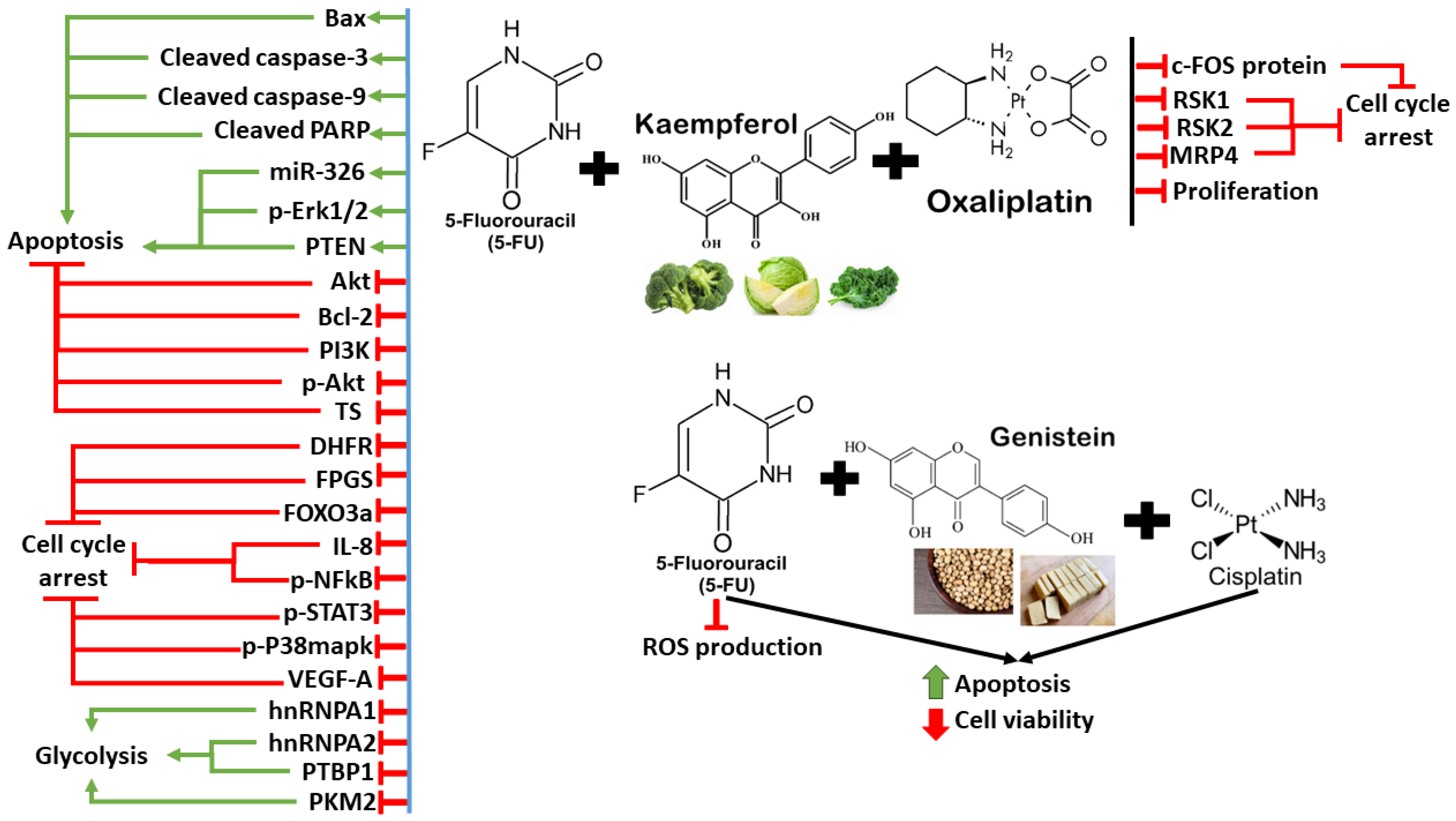 Antioxidants 13 00815 g007