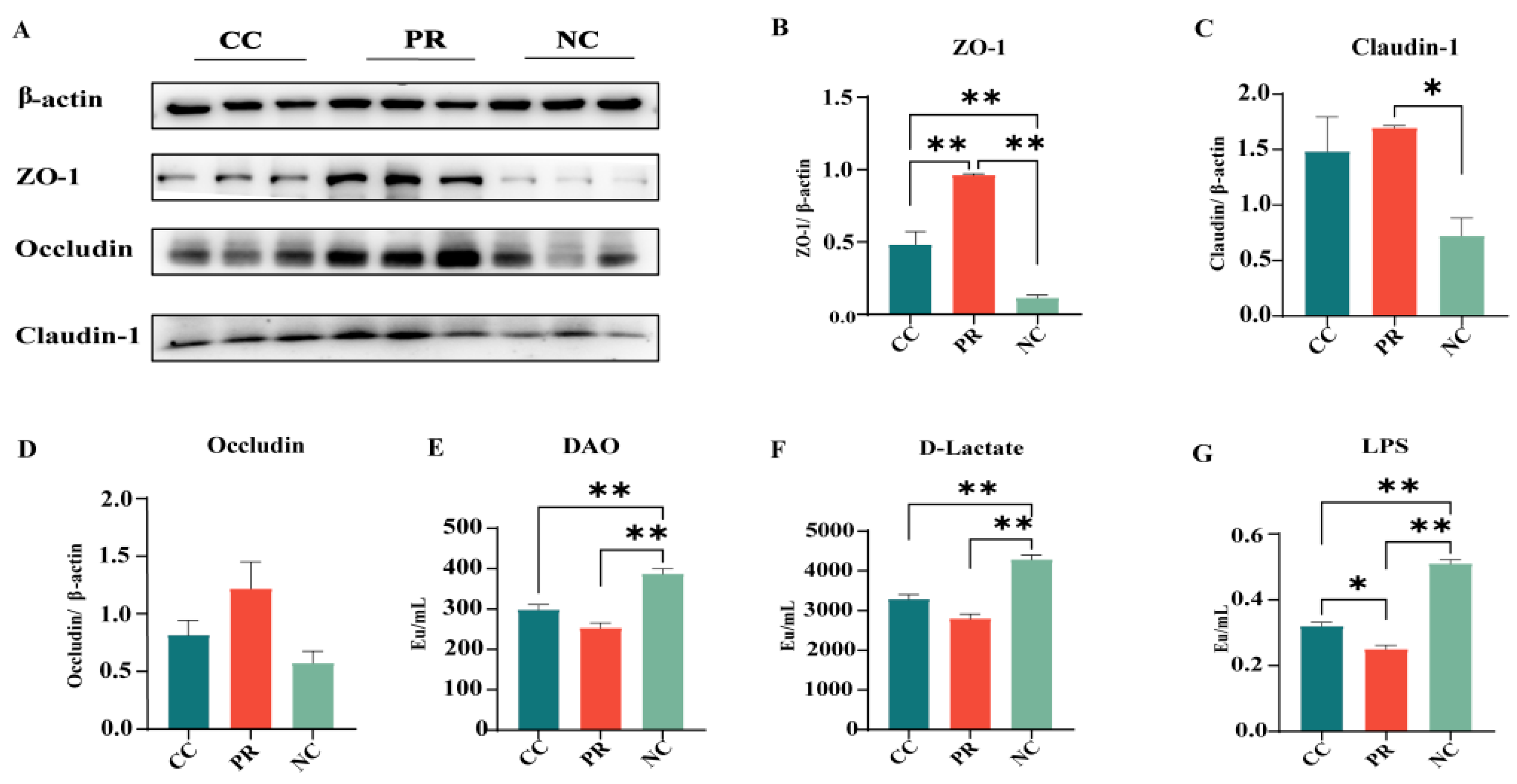 Antioxidants 13 00816 g004 Antioxidants 13 00816 g004
