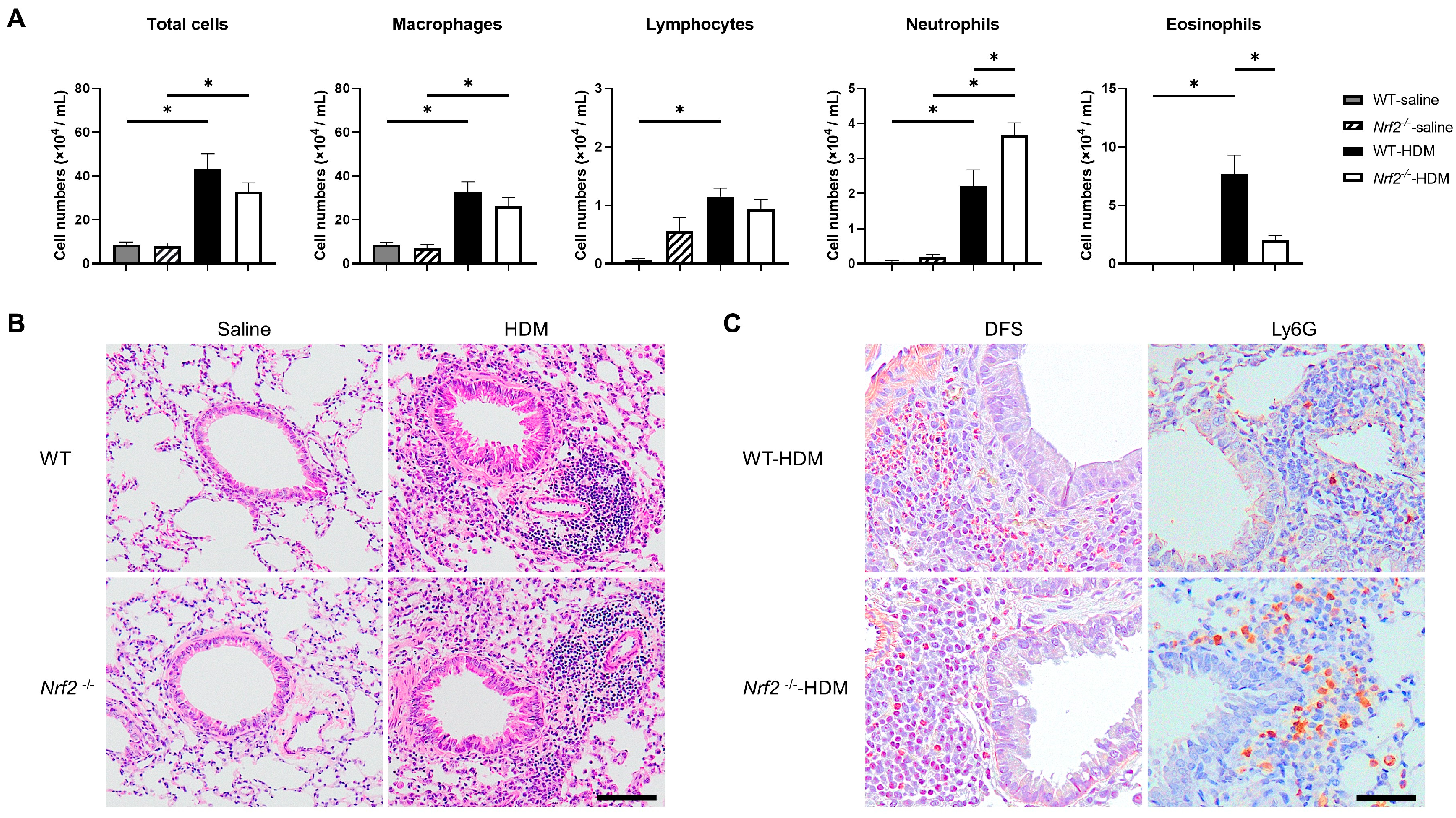 Antioxidants 13 00818 g001