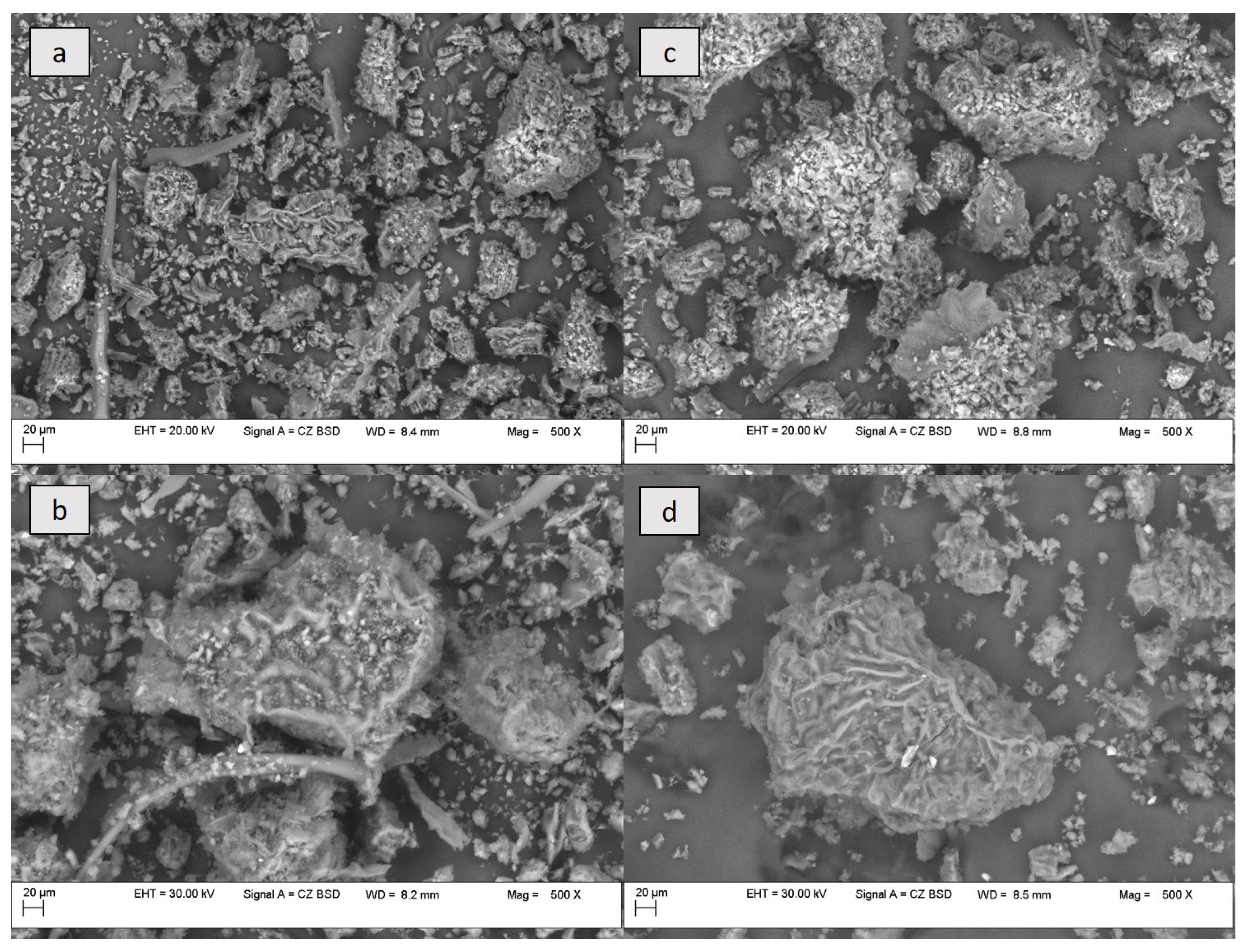 Antioxidants 13 00824 g004
