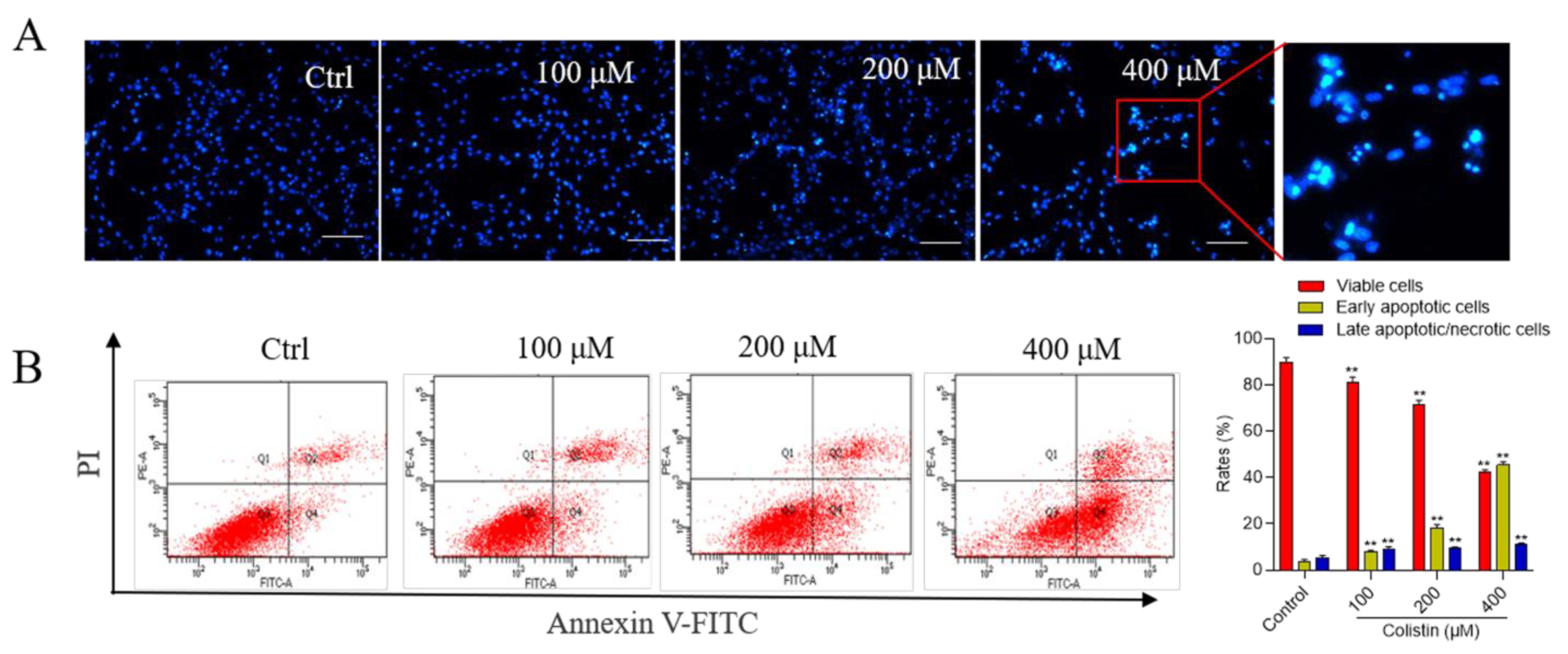 Antioxidants 13 00827 g002