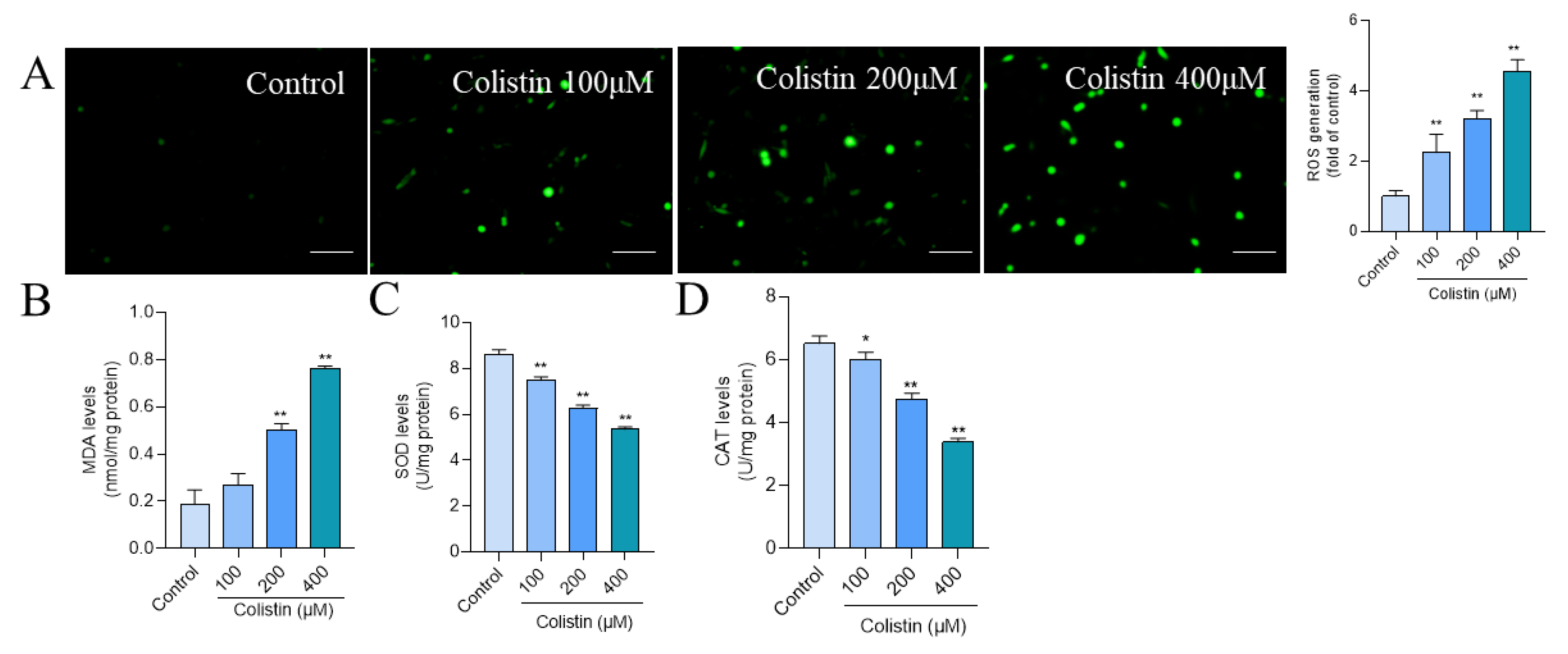 Antioxidants 13 00827 g003