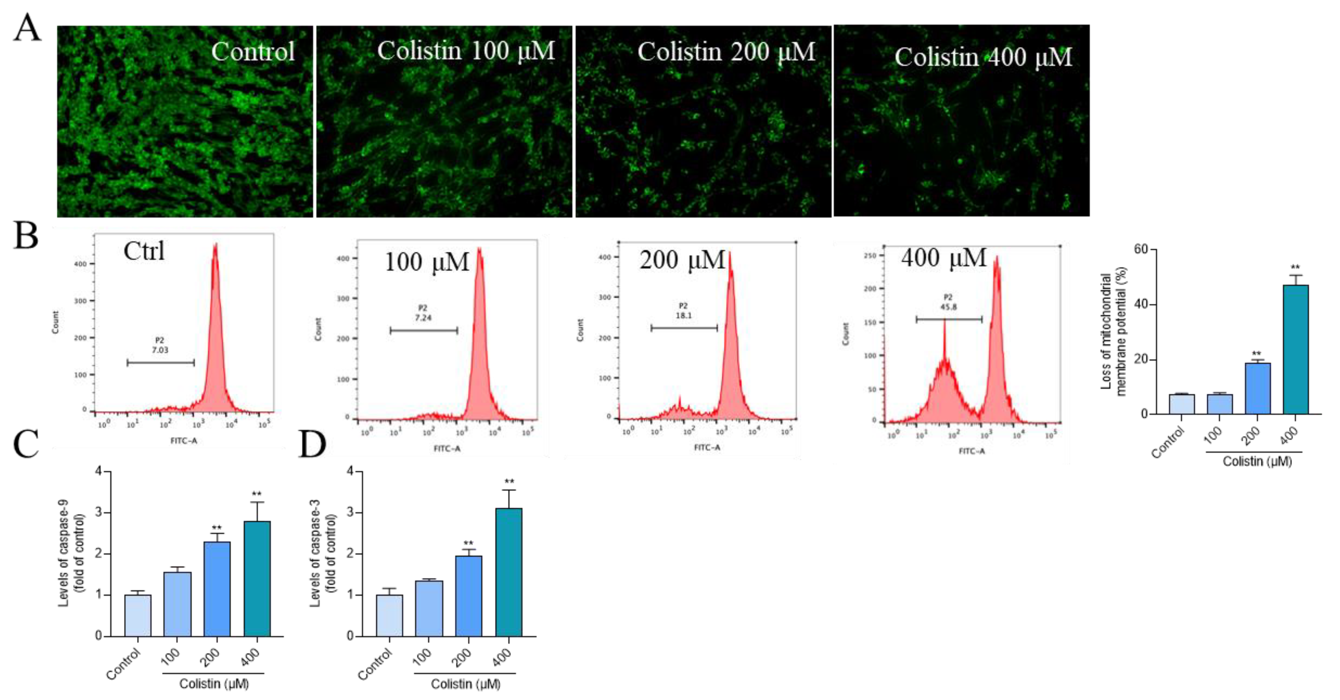 Antioxidants 13 00827 g004