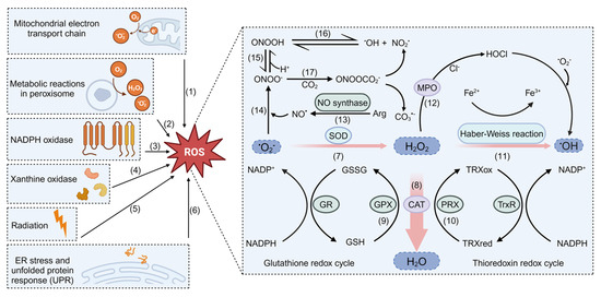 Non 11、13、39A、86 Next-Generation Protein–Ligand Interaction Networks: APEX as