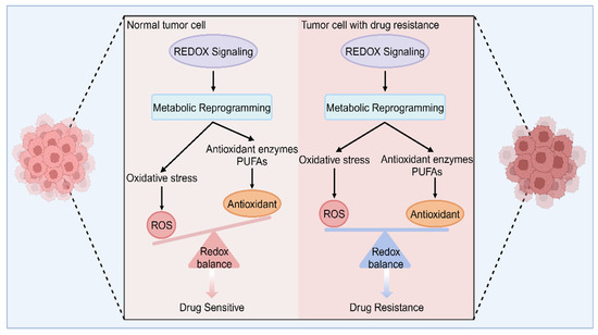Targeting Metabolic–Redox Nexus to Regulate Drug Resistance: From
