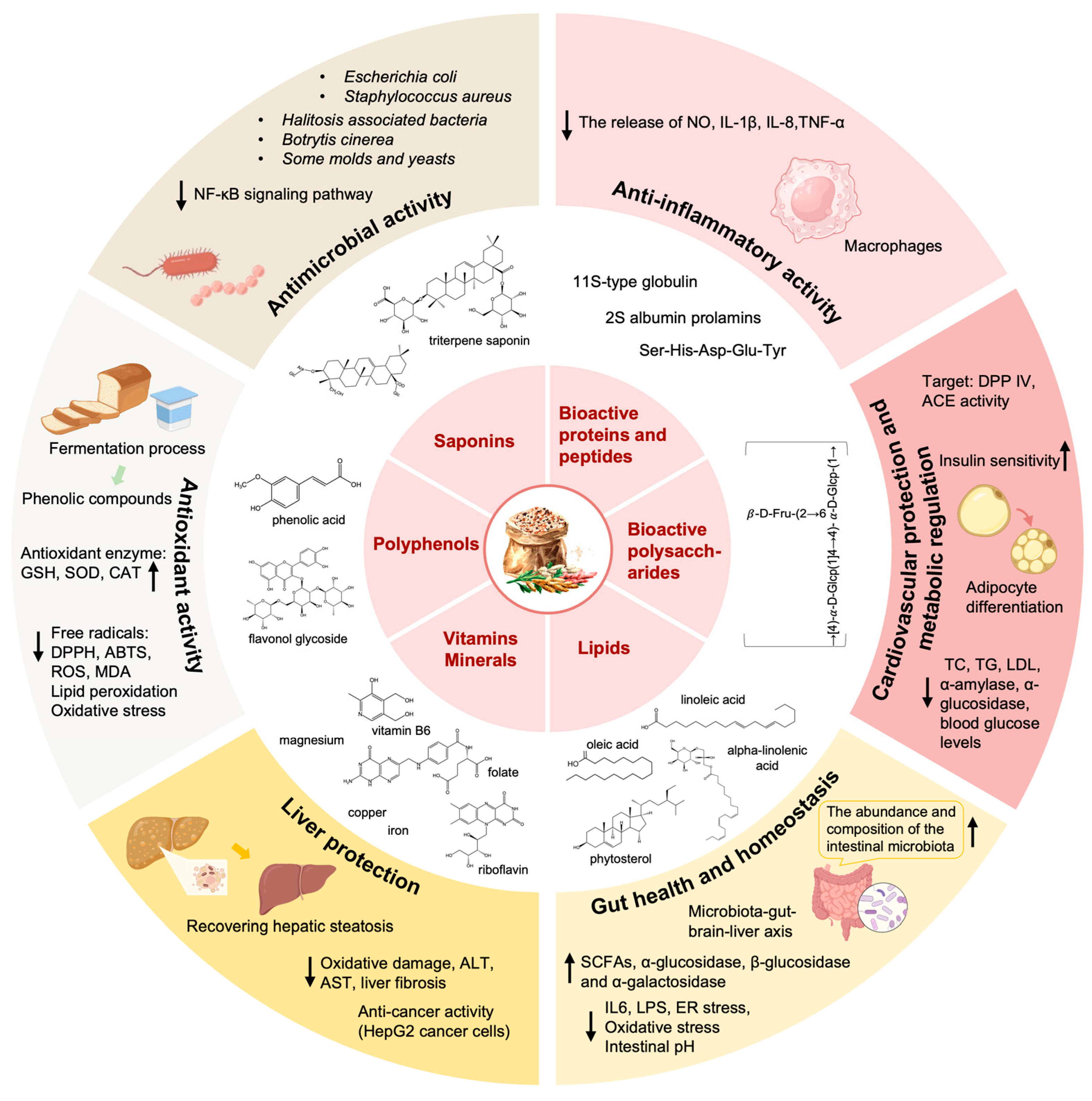 Antioxidants 13 00829 g001