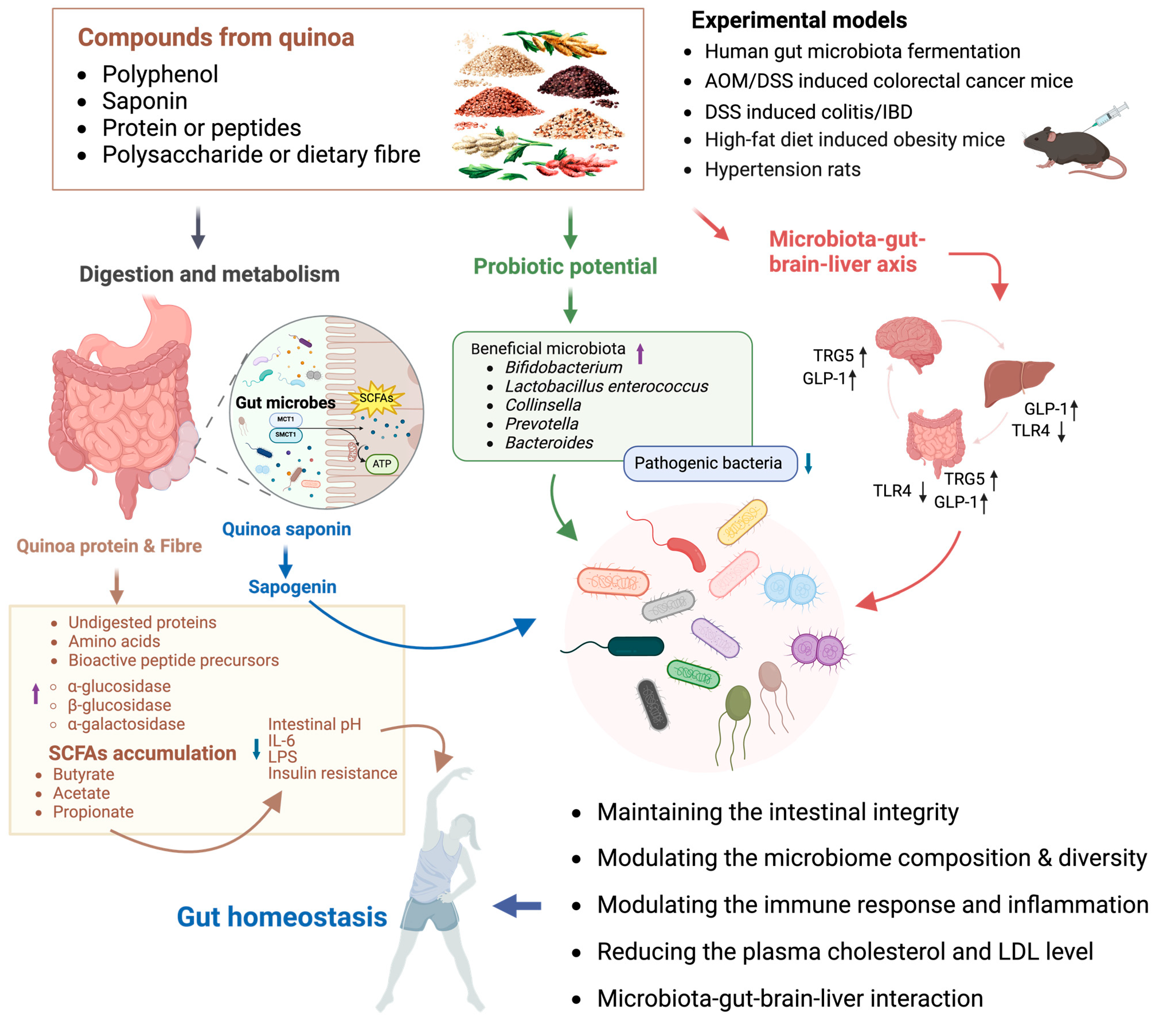 Antioxidants 13 00829 g003
