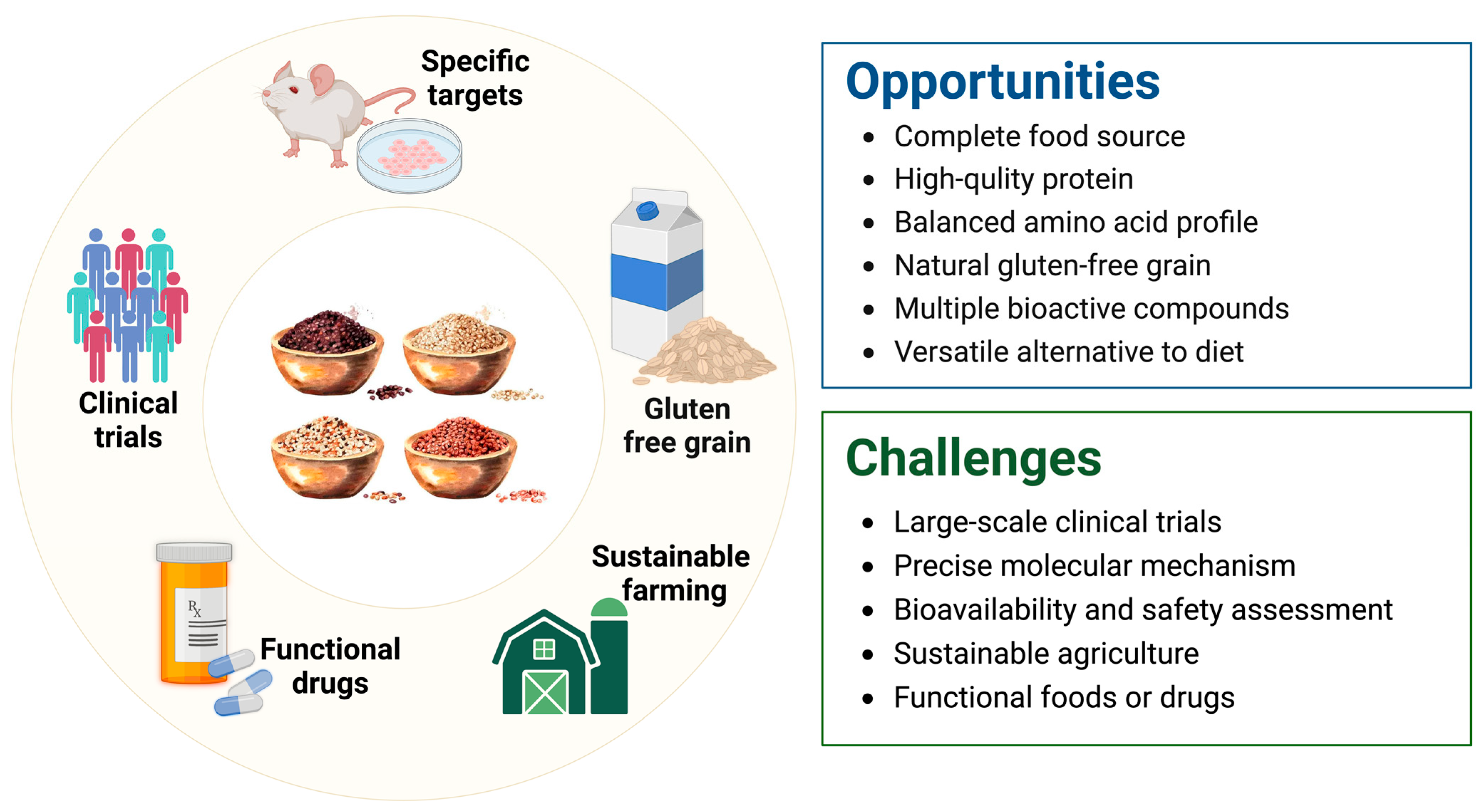 Antioxidants 13 00829 g005